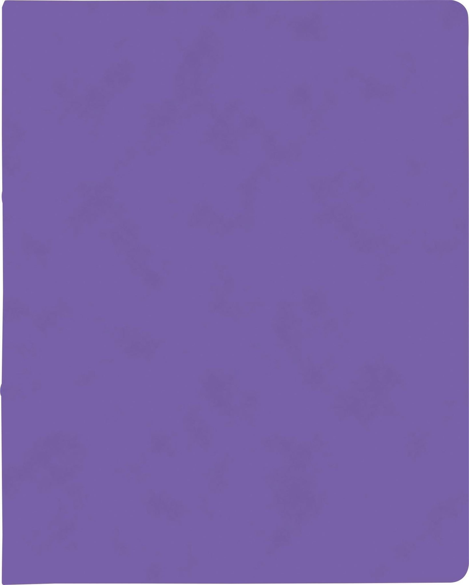 Ringbuchmappe BRUNNEN Ringbuch A4 FACT!plus 2-Ringe 15mm violett 106550960
