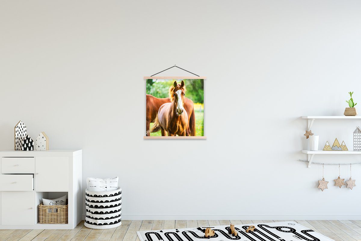 MuchoWow Poster Pferde - Licht - Wiese, (1 St), Posterleiste, Textilposter für Wohnzimmer, Bilderleiste, Magnetisch