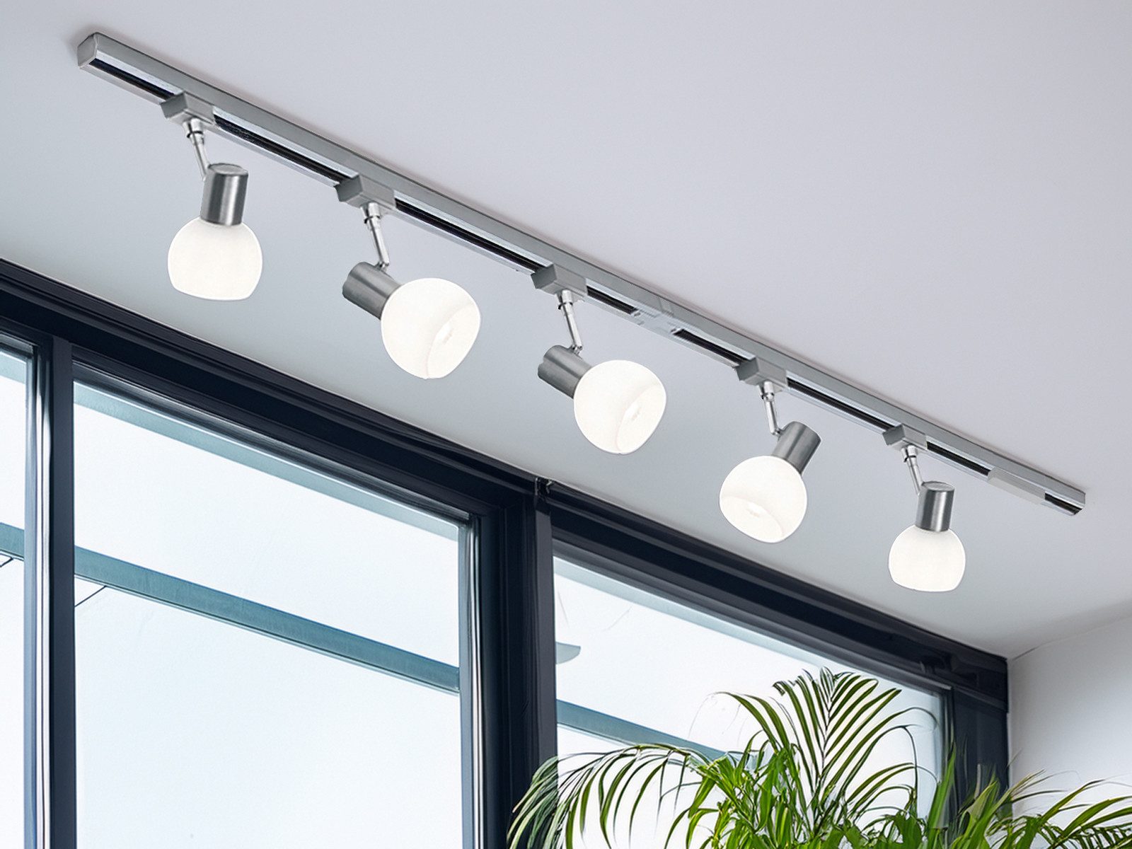 TRIO Leuchten Schienensystem-Sets mit 5 Glasschirm Strahlern Länge 202,5cm, ohne Leuchtmittel, 2-Phasen Lichtschienensystem komplett m. 5 Glas Spots für Wand & Decke