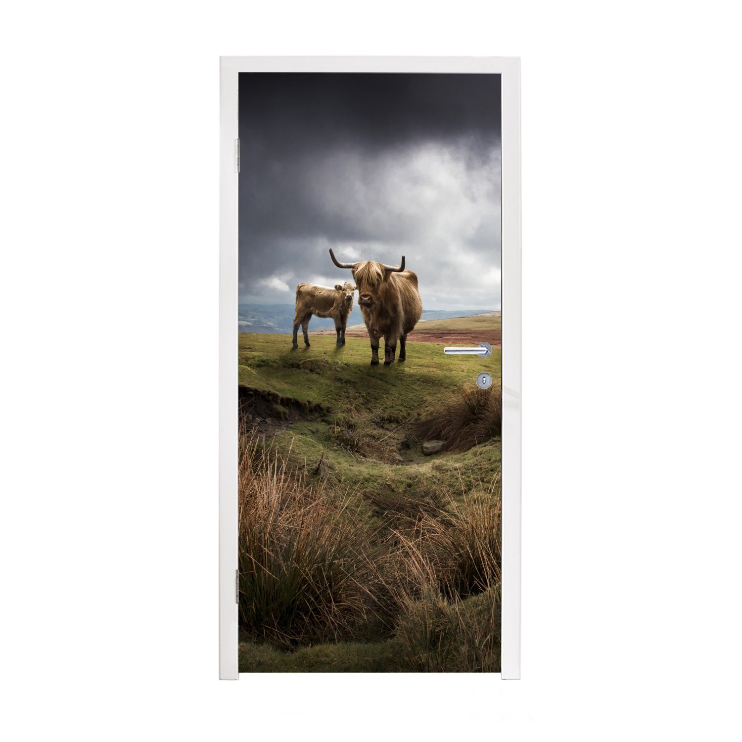 MuchoWow Türtapete Schottische Highlander - Schottische Kuh - Landschaft, Matt, bedruckt, (1 St), Fototapete für Tür, Türaufkleber, 75x205 cm | Türtapeten