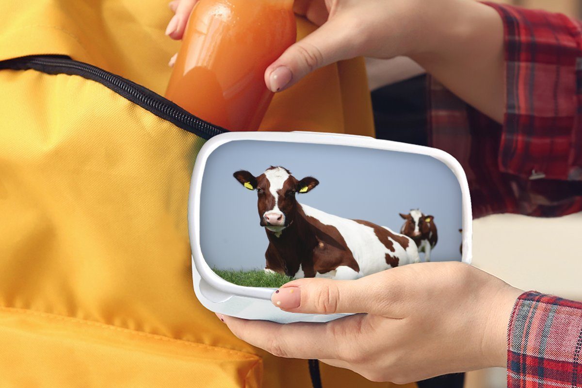 (2-tlg), Brotbox weiß MuchoWow Kunststoff, Mädchen Gras Friesland, Jungs und Kinder - für für Kühe Lunchbox Erwachsene, Brotdose, und -