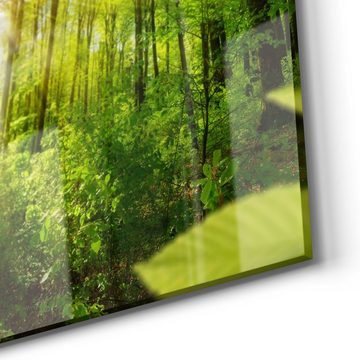 DEQORI Glasbild 'Licht durchdringt Bäume', 'Licht durchdringt Bäume', Glas Wandbild Bild schwebend modern