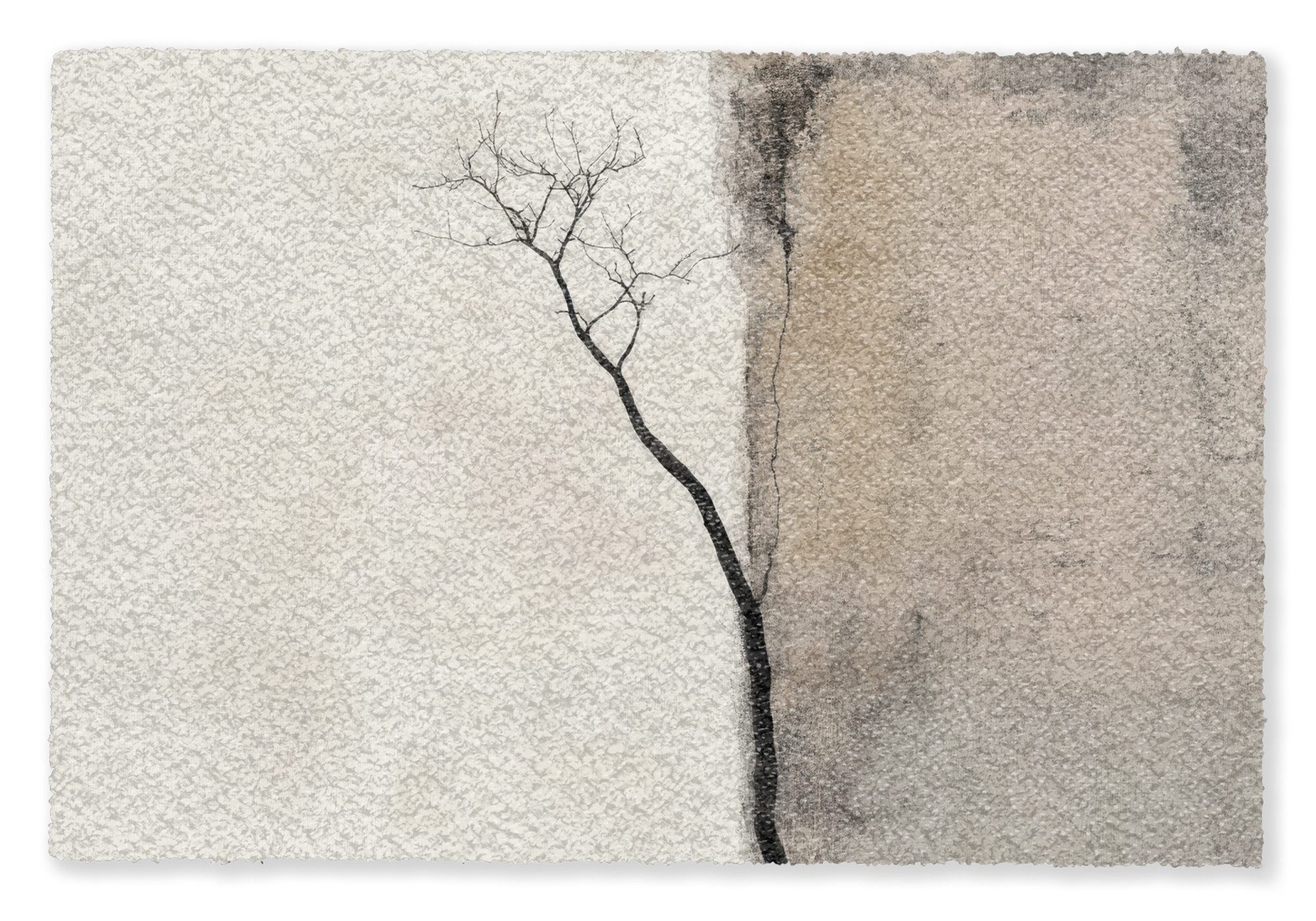 MuchoWow Fußmatte Wabi sabi - Pflanze - Beige, Rechteckig, innen Schmutzfangmatte, Tür, Schmutzfänger Flur, Teppich 60x40 cm