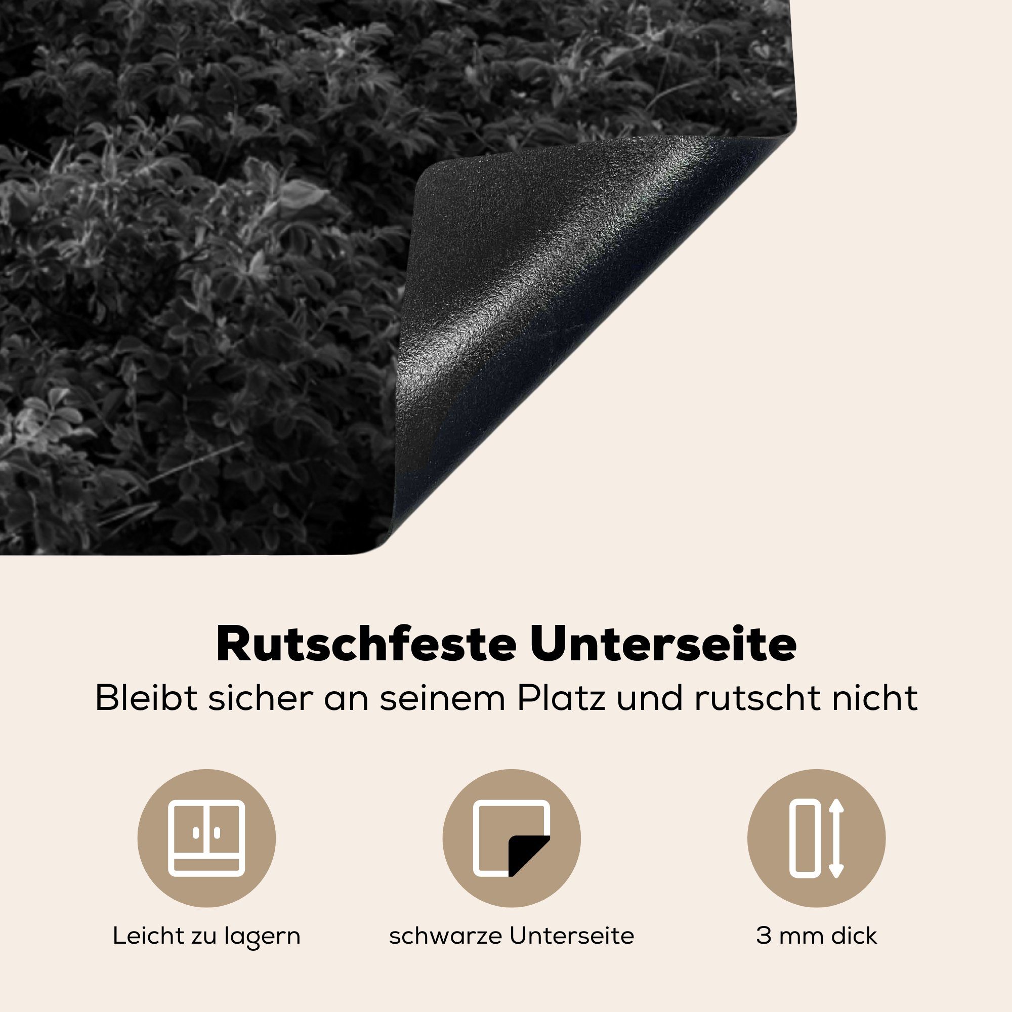 - für (1 Weiß Schwarz - Herdblende-/Abdeckplatte - MuchoWow küche Ceranfeldabdeckung, Arbeitsplatte cm, tlg), Wattenmeer 78x78 Vinyl, Leuchtturm,