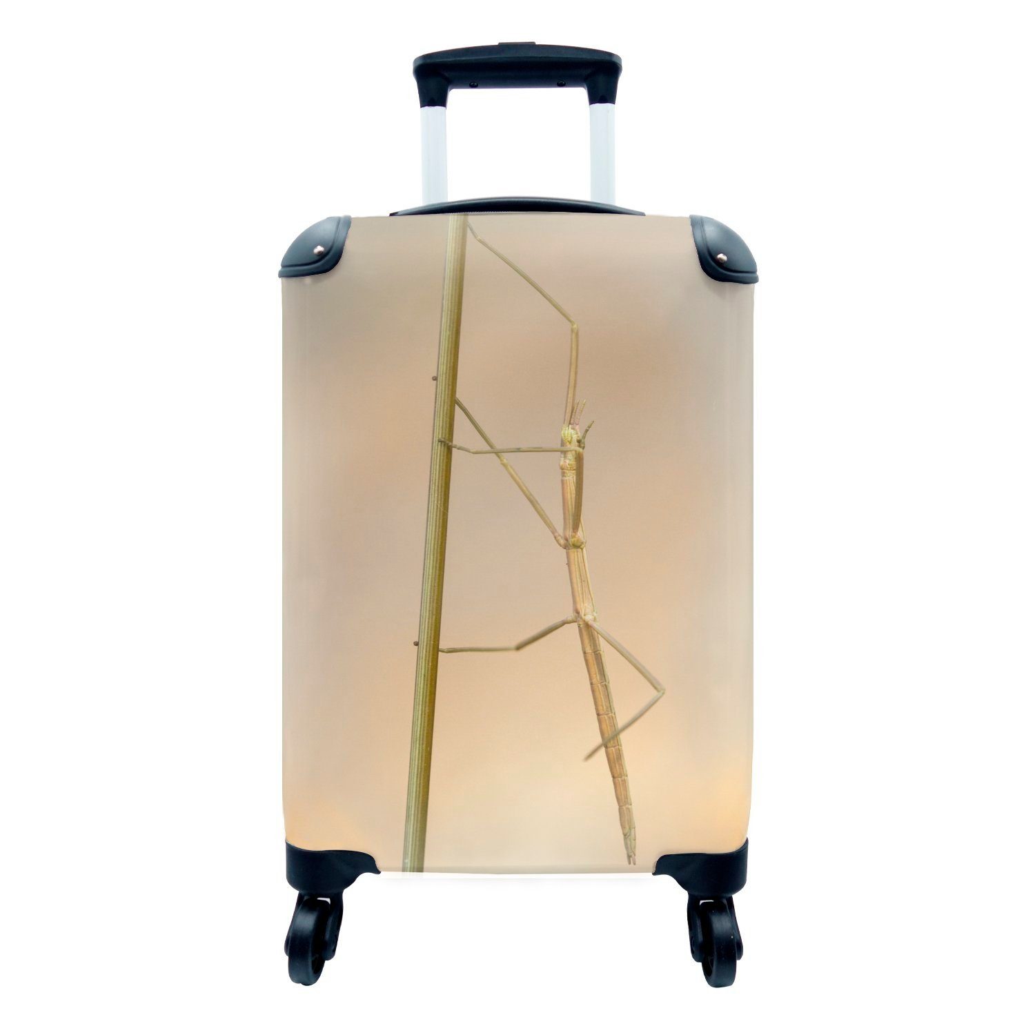 MuchoWow Handgepäckkoffer Eine Stabheuschrecke sitzt auf einem Grashalm, 4 Rollen, Reisetasche mit rollen, Handgepäck für Ferien, Trolley, Reisekoffer