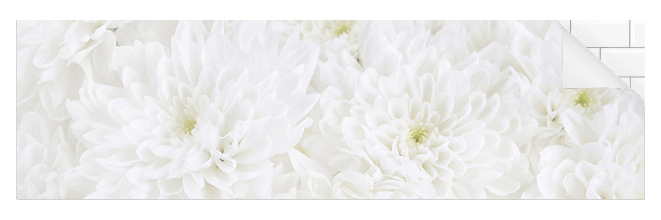 Bilderdepot24 Badrückwand weiss fugenlose Wandverkleidung Bad Landhaus, (Hartfolie matt » Selbstklebend SMART 0,35 mm), wasserfestes Wandpaneel Dahlien Blumenmeer weiß