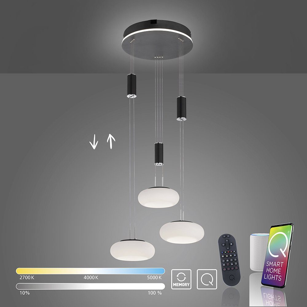 Paul Neuhaus Smarte LED-Leuchte LED Pendellampe günstig online kaufen