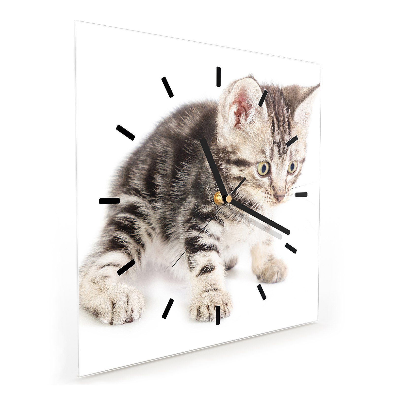 Primedeco Wanduhr Glasuhr Wanduhr mit cm den Boden Katze Wandkunst fokussiert 30 Motiv Größe 30 x