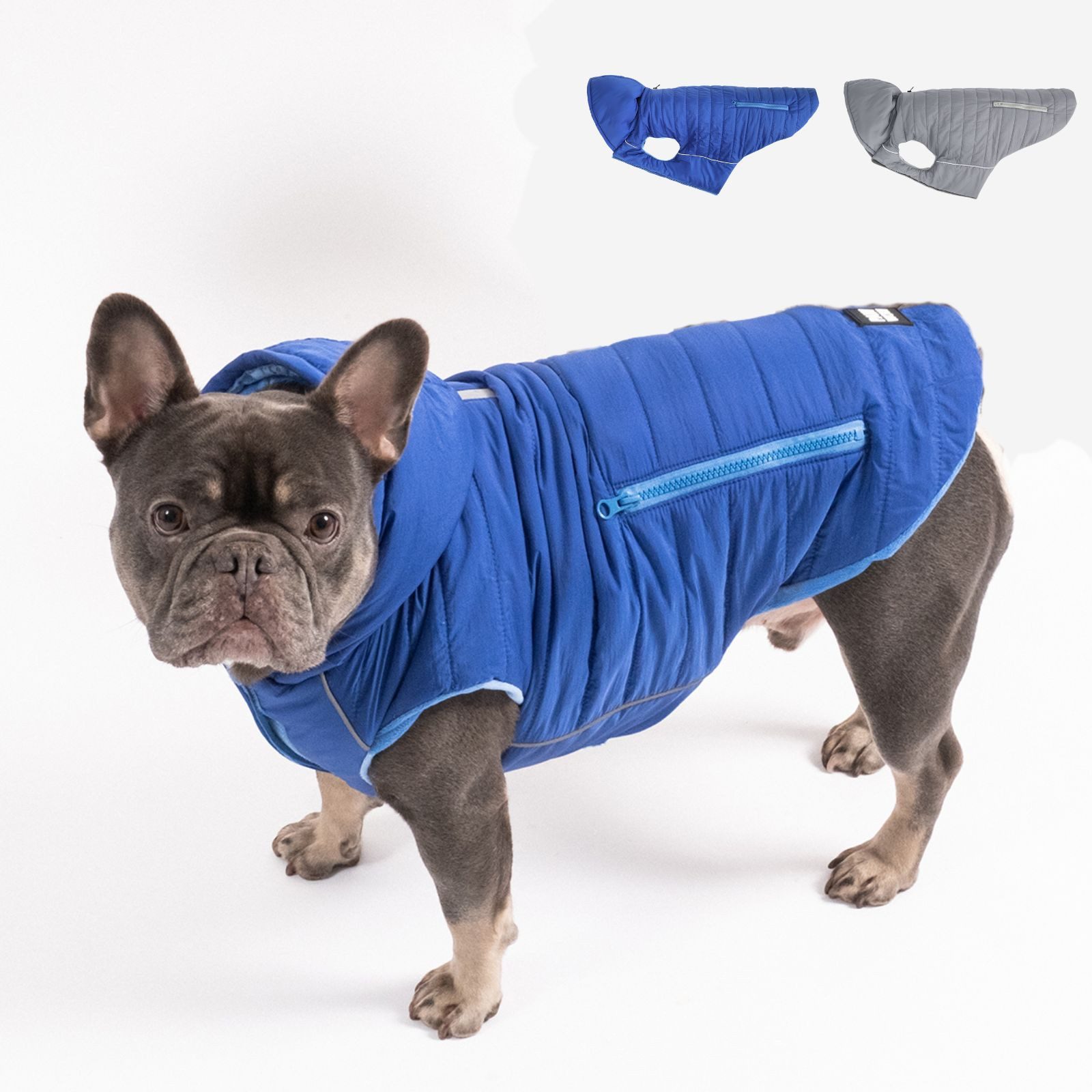 Hundejacke Hundejacke IMMI blau