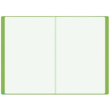 Roth Schultüte Roth Grün A4, Umschlag aus PP-Folie