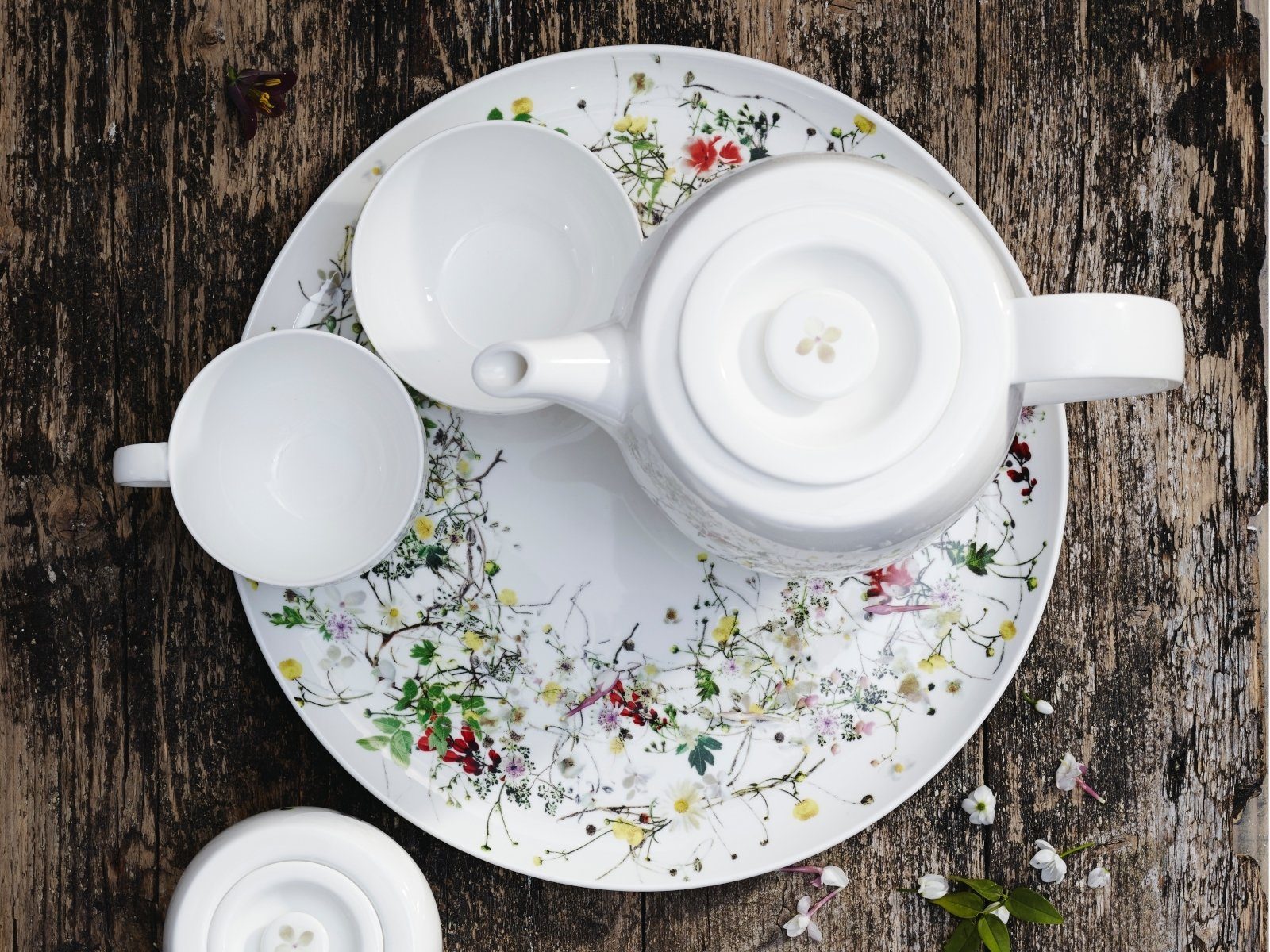 Rosenthal Geschirr-Set Brillance Fleurs Sauvages Set 6tlg mit Kombitassen, Bone China, Sets