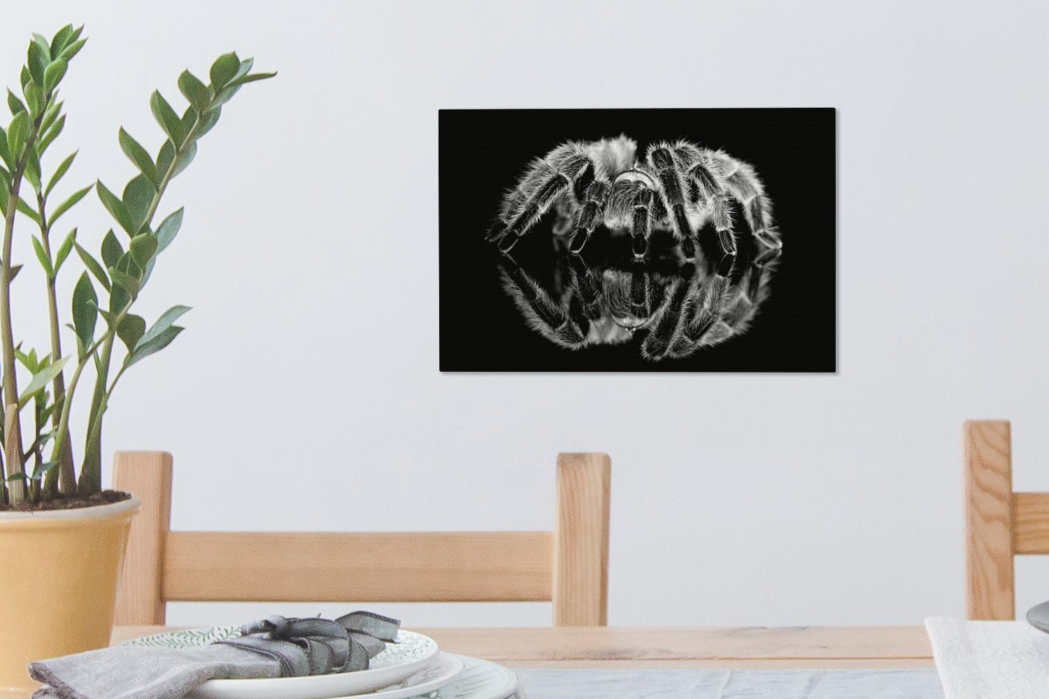 OneMillionCanvasses® Leinwandbild Studioaufnahme einer cm schwarz weiß, 30x20 Vogelspinne und Leinwandbilder, Wandbild St), - Aufhängefertig, Wanddeko, (1