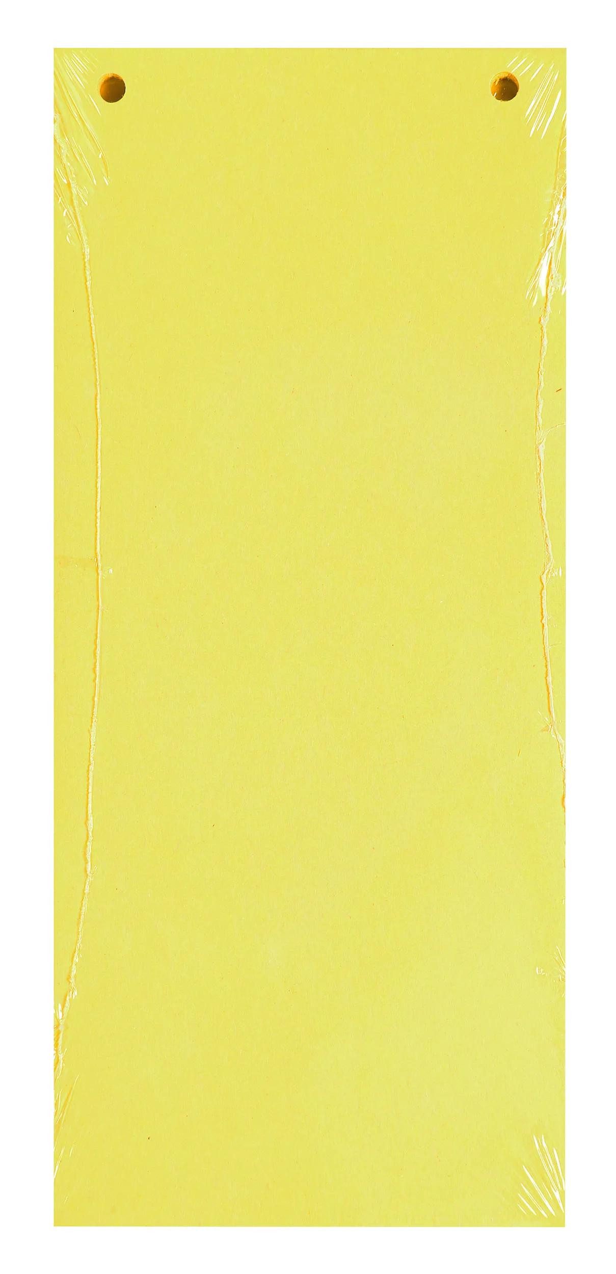 EXACOMPTA Aktenordner 12x 100 Trennstreifen 2-fach gelocht RC Kart 105x240mm Gelb 13425B, Karton recycling Register