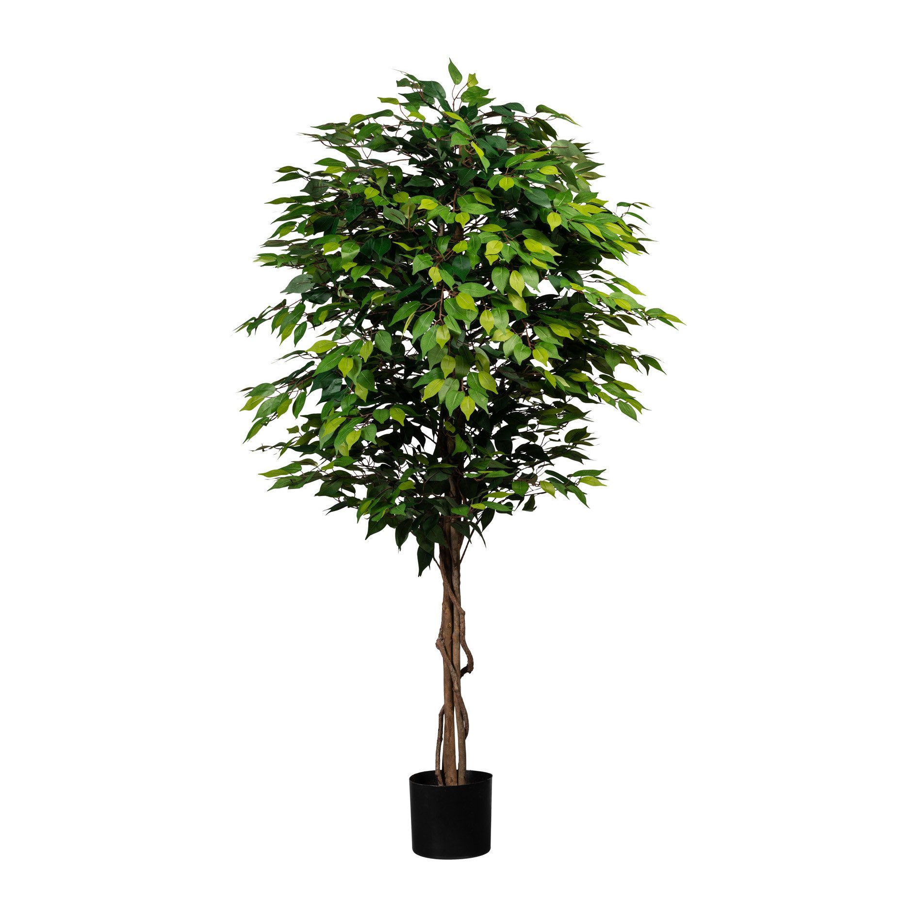 Kunstpflanze Künstlicher Ficus Benjamini 180cm