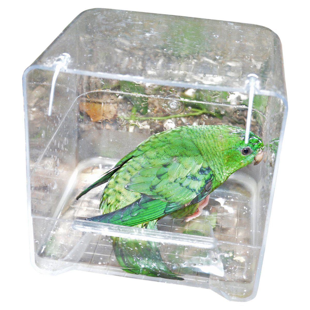 DUVO+ Vogelhaus Kunststoffbadewanne transparent
