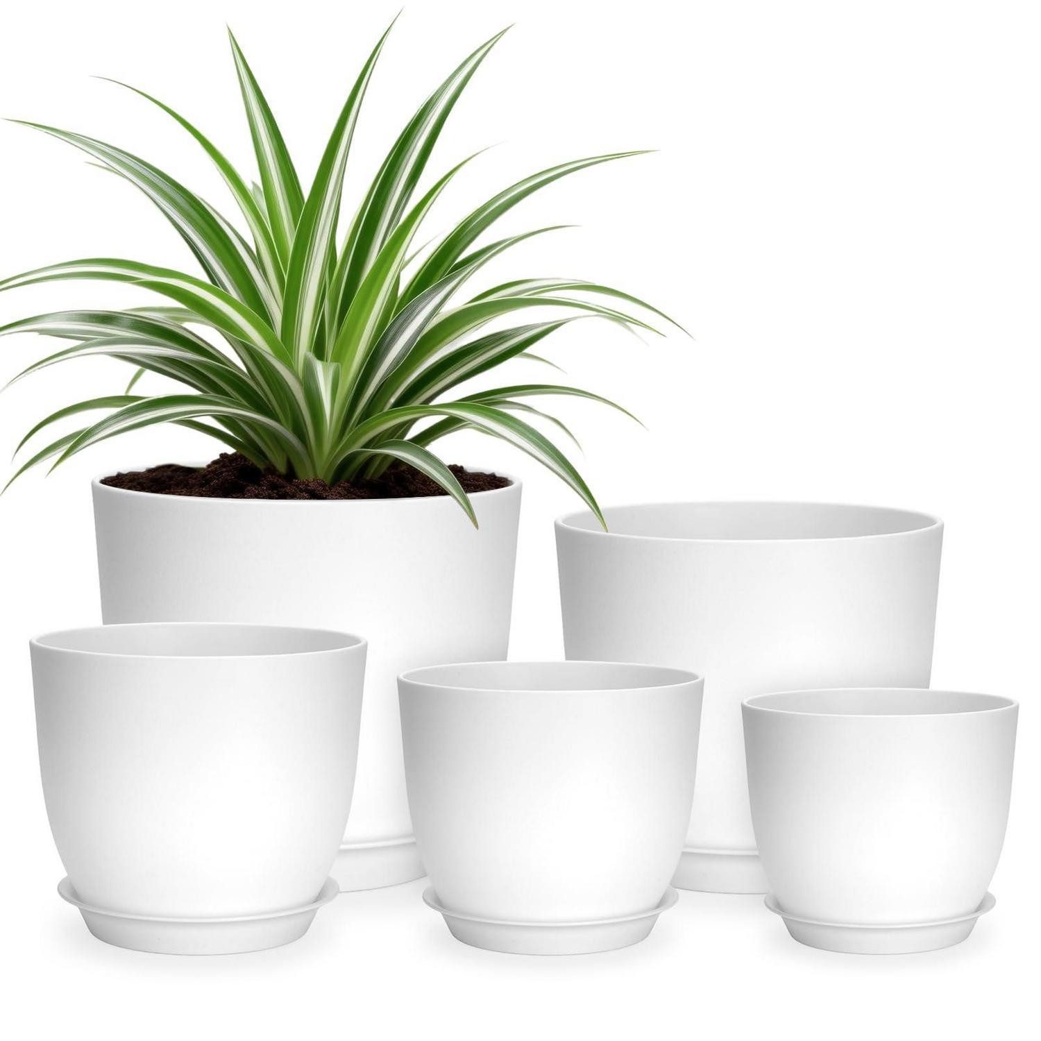 LuxusKollektion Blumentopf Blumentöpfe Untersetzer Pflanztopf Set Sukkulenten Kräuter Weiß