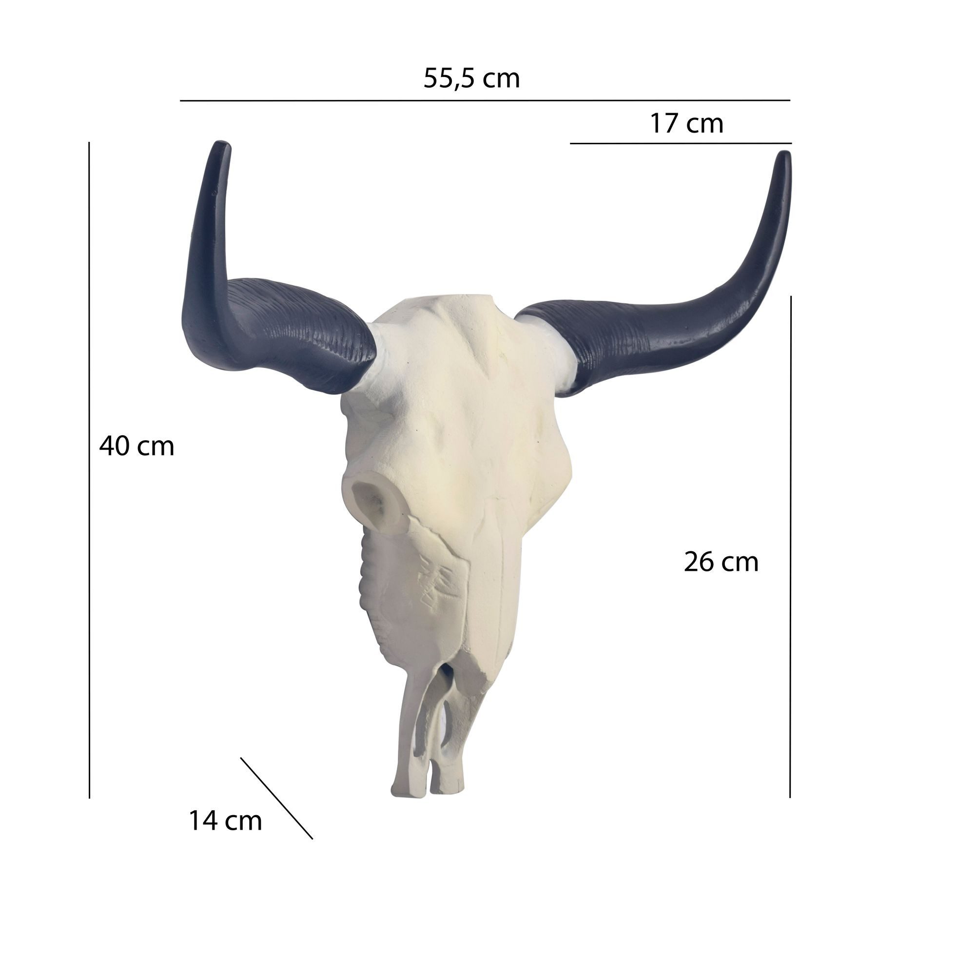 FINEBUY Wanddekoobjekt FB107988 Geweih Büffel Schädel Aluminium Hörner 55,5 cm Wanddekoration (Jagdtrophäe Wandschmuck, Wandgeweih Alu Modern), Geweih Büffel Schädel Wanddekoration 55,5 cm Weiß