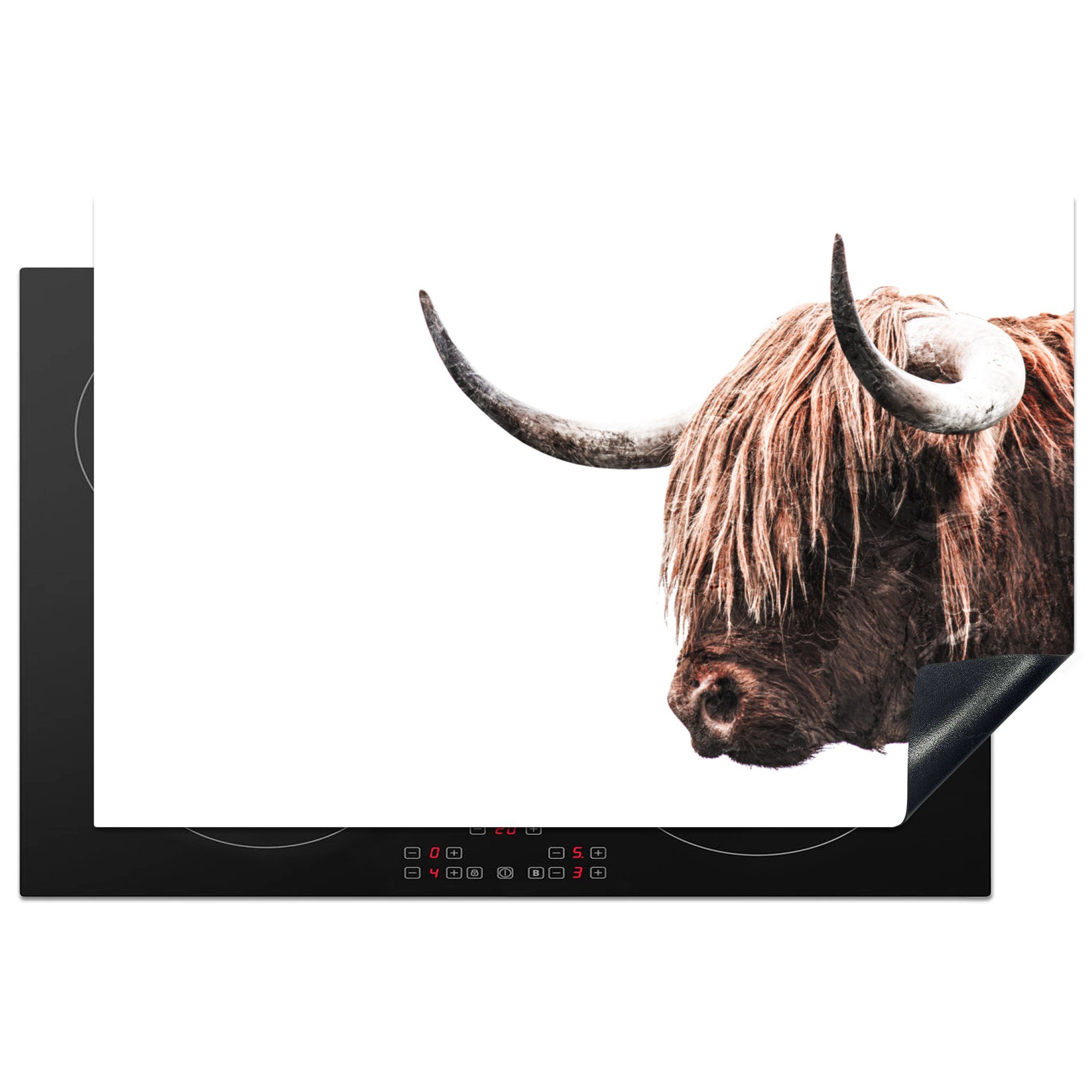 MuchoWow Herdblende-/Abdeckplatte Schottische Highlander - Kühe - Hoorn, Vinyl, (1 tlg), 81x52 cm, Induktionskochfeld Schutz für die küche, Ceranfeldabdeckung