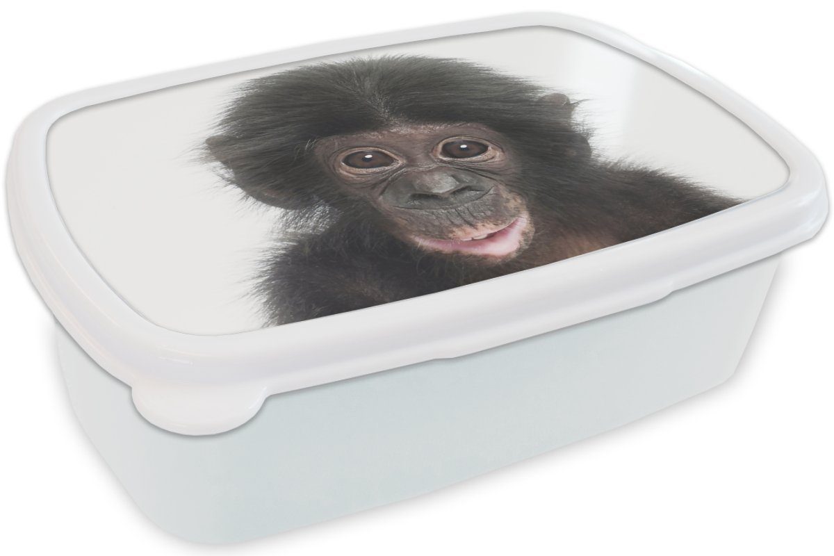 Affe Tiere Lunchbox - Brotdose, - Erwachsene, und Brotbox (2-tlg), Jungs Kinder weiß - Kunststoff, und MuchoWow Natur für für Mädchen Schimpanse,