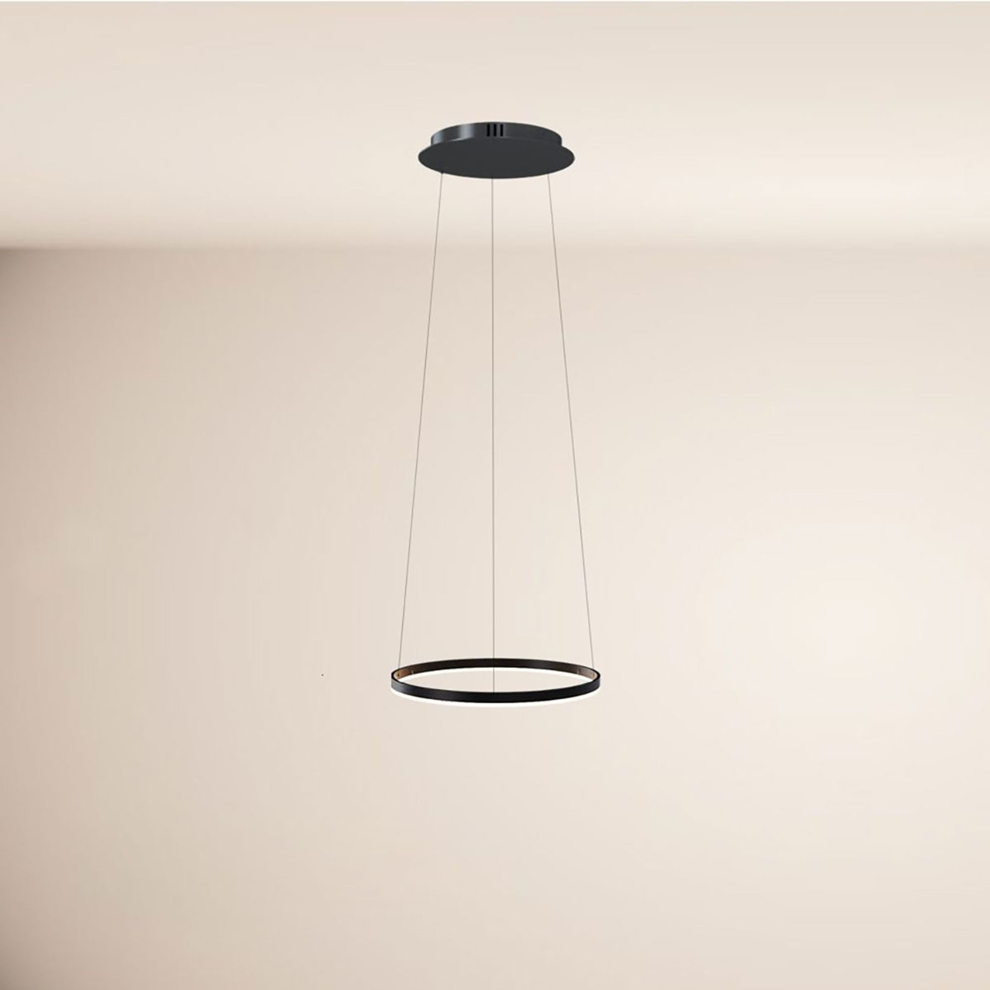 s.luce Pendelleuchte LED Pendelleuchte Ring 40 direkt oder indirekt 5m Abhängung Schwarz, Warmweiß