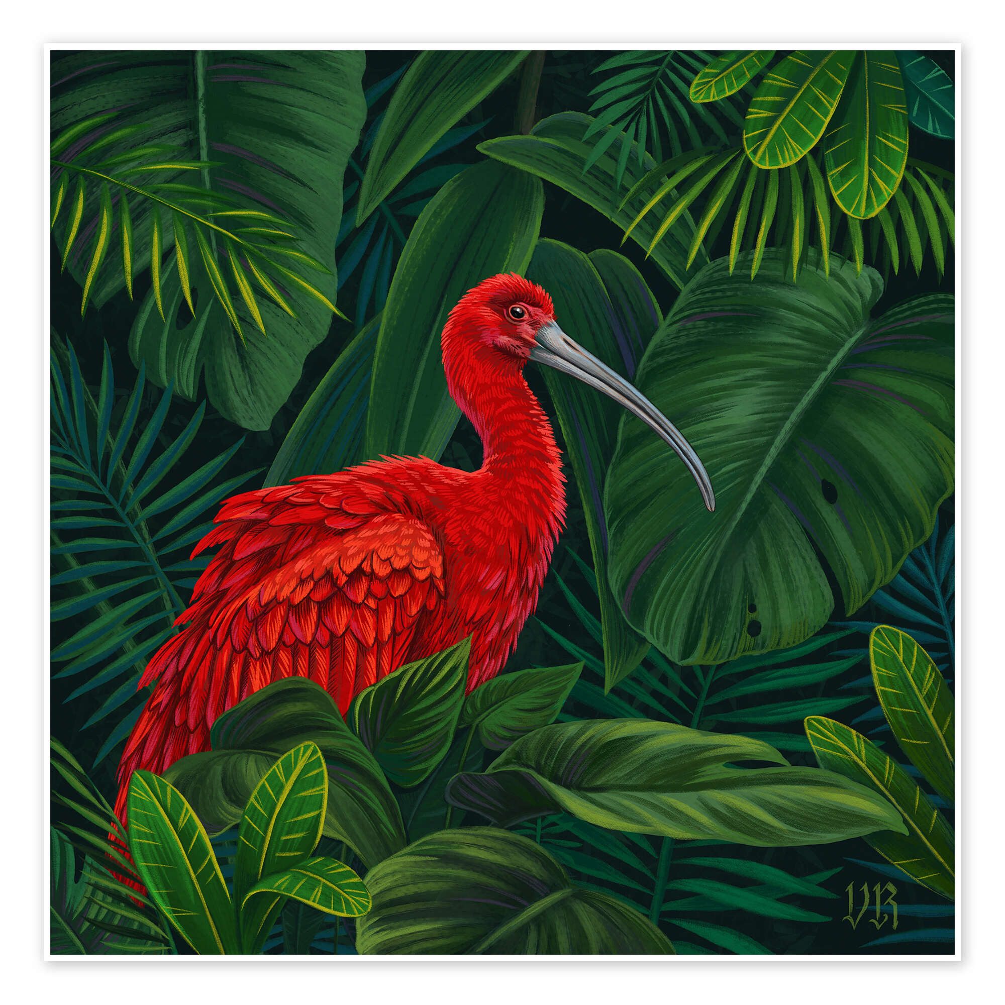 Wandbild Scharlachroter Ibis