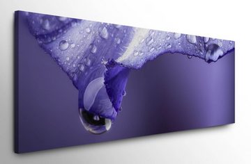 möbel-direkt.de Leinwandbild Bilder XXL Lila Blüte mit Tau Wandbild auf Leinwand