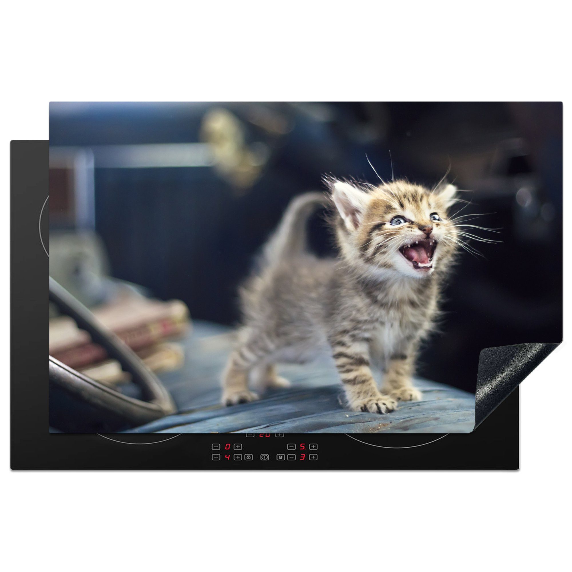 MuchoWow Herdblende-/Abdeckplatte Ein einsames Kätzchen schreit nach Futter, Vinyl, (1 tlg), 81x52 cm, Induktionskochfeld Schutz für die küche, Ceranfeldabdeckung