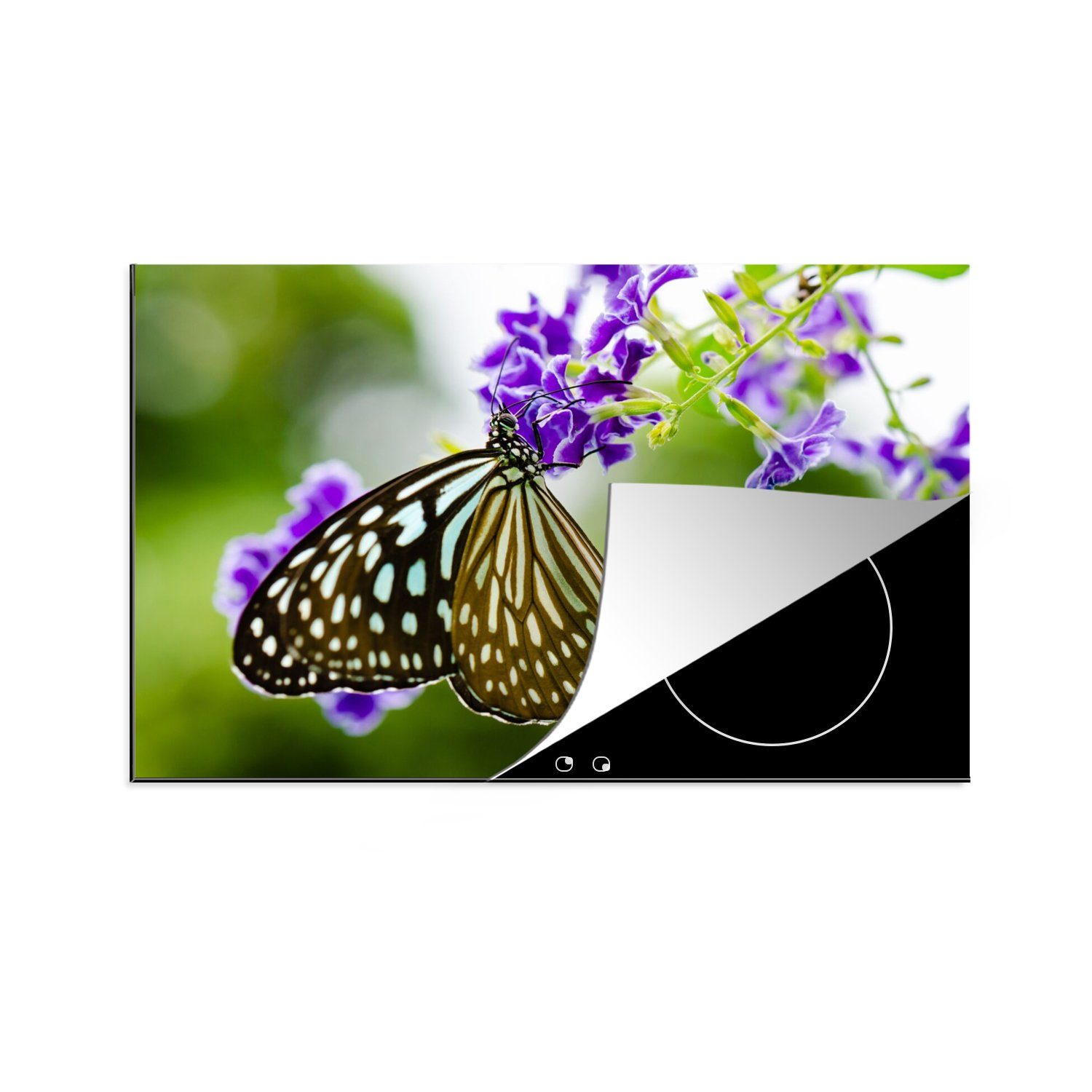 MuchoWow Herdblende-/Abdeckplatte Lavendel - Schmetterling - Botanisch, Vinyl, (1 tlg), 80x52 cm, Induktionskochfeld Schutz für die küche, Ceranfeldabdeckung
