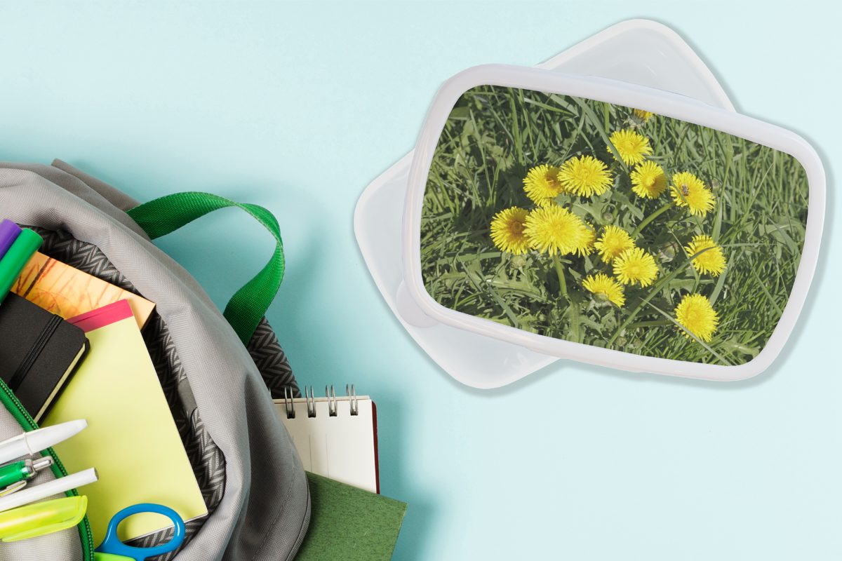 Lunchbox Kunststoff, - (2-tlg), und - für Mädchen Erwachsene, für Brotdose, Löwenzahn und Jungs Brotbox weiß MuchoWow Kinder Frühling, Gras