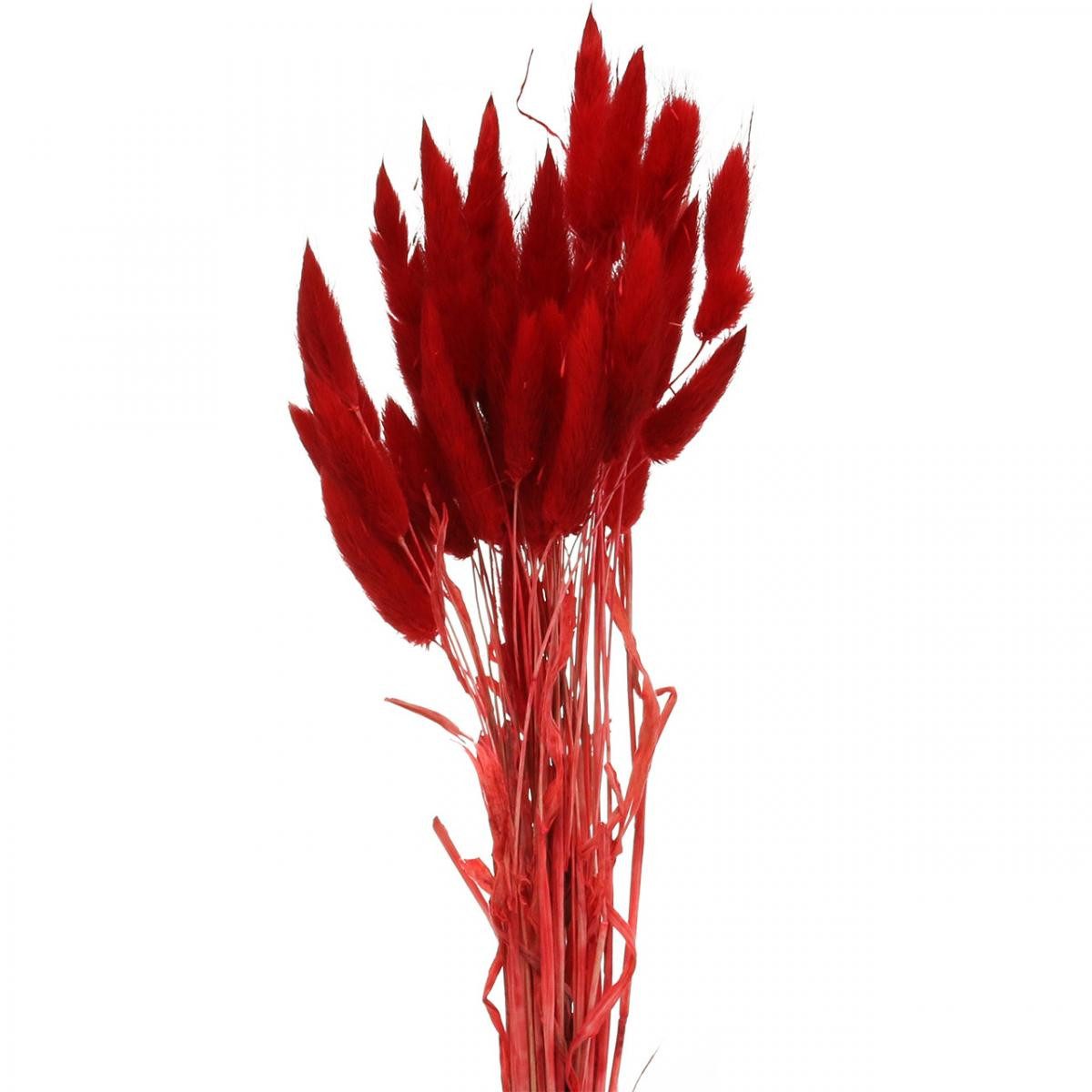 Dekoratives Trocken-Gras für Floristik und Raumgestaltung, Viana, Höhe 50 cm