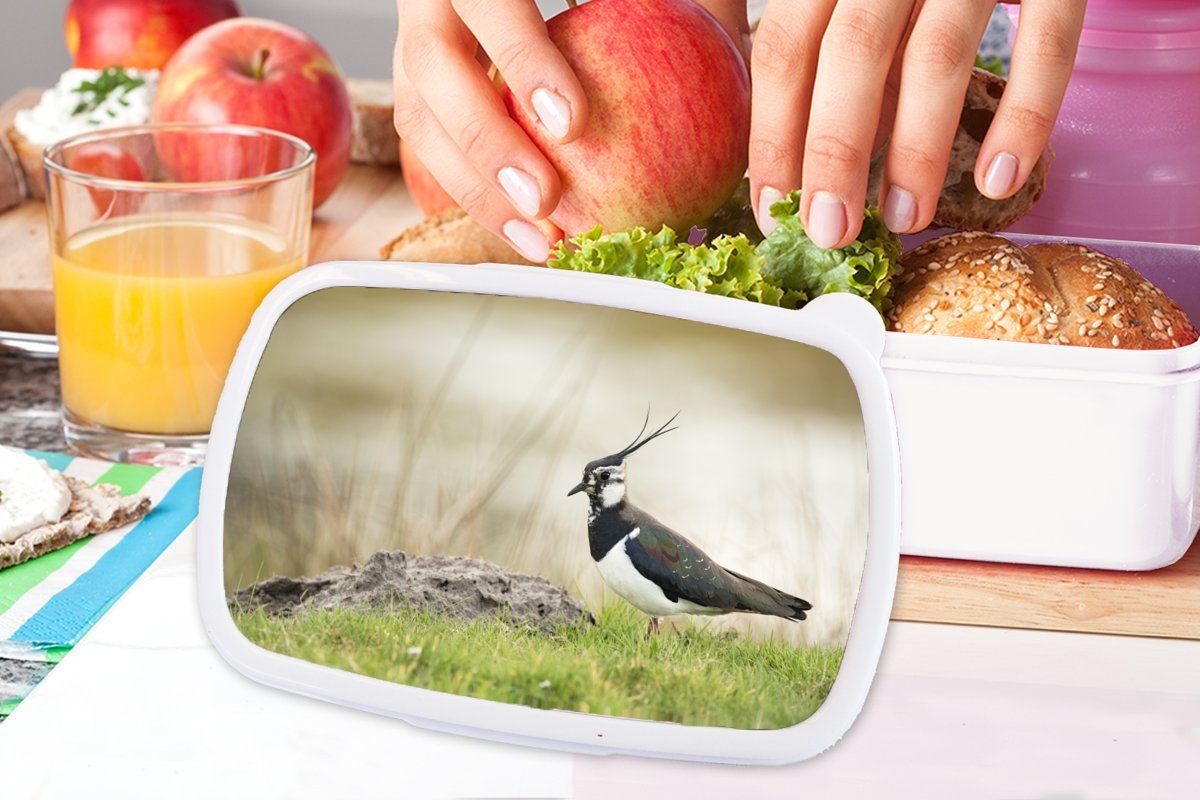 MuchoWow Lunchbox Vogel - Gras und weiß - Mädchen Erwachsene, und für für Tiere Jungs (2-tlg), Natur - Brotdose, - Kunststoff, Kiebitz, Kinder Brotbox