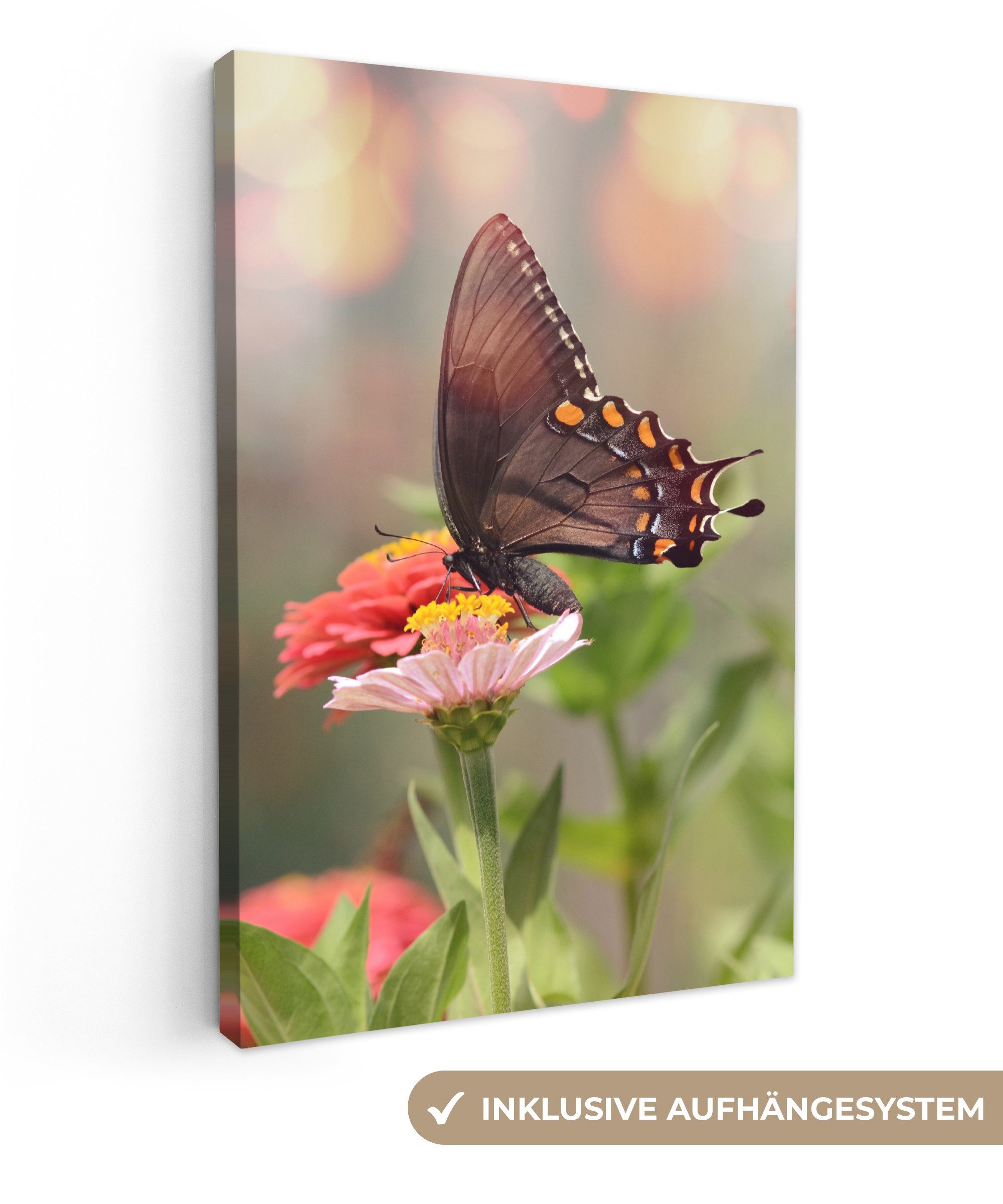 OneMillionCanvasses® Leinwandbild Blumen - Schmetterling - Natur - Blume, F günstig online kaufen