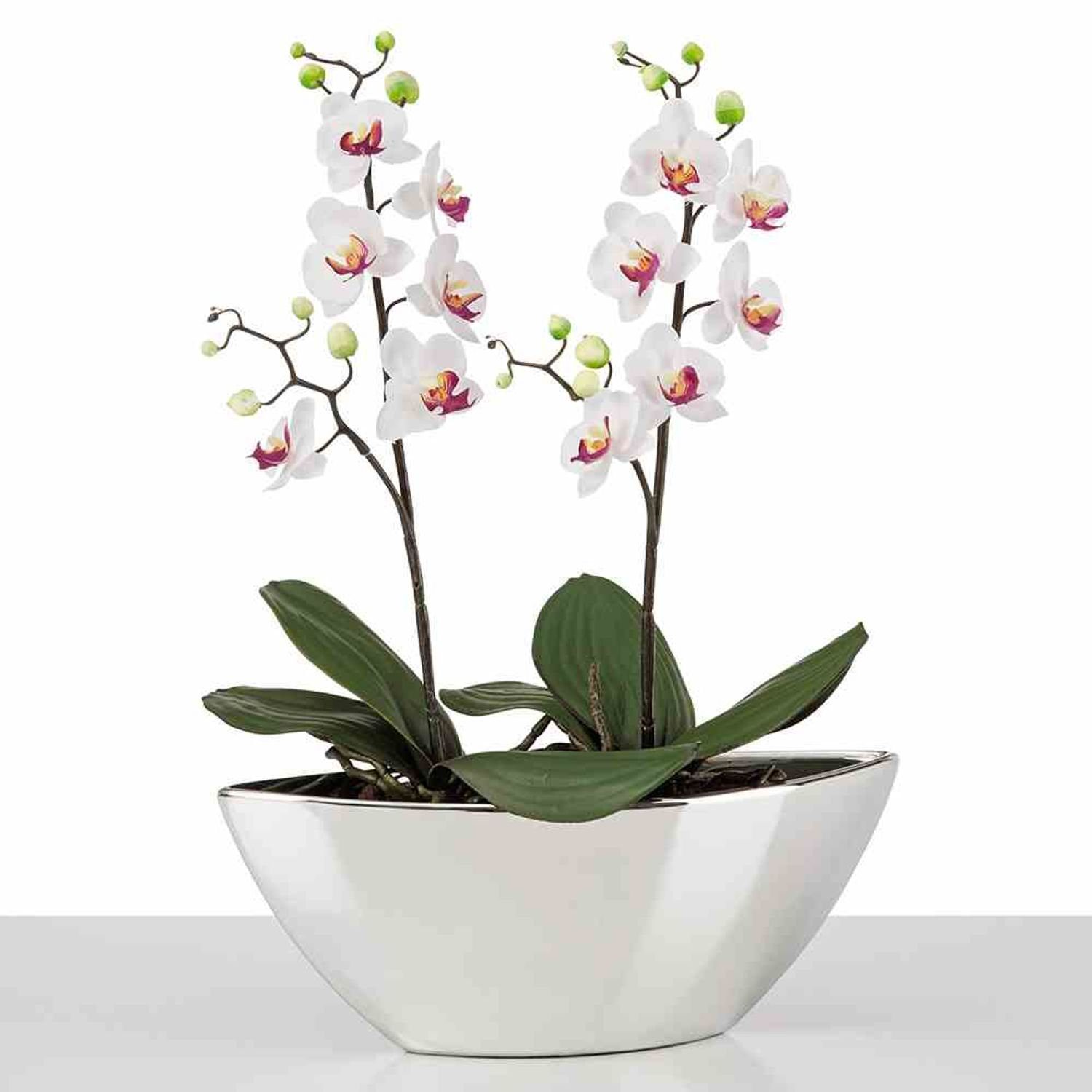 Spiegeleffekt glänzend Scheurich Mirror Silver Chromoptik Orchidee Pflanzkübel Pflanzgefäß