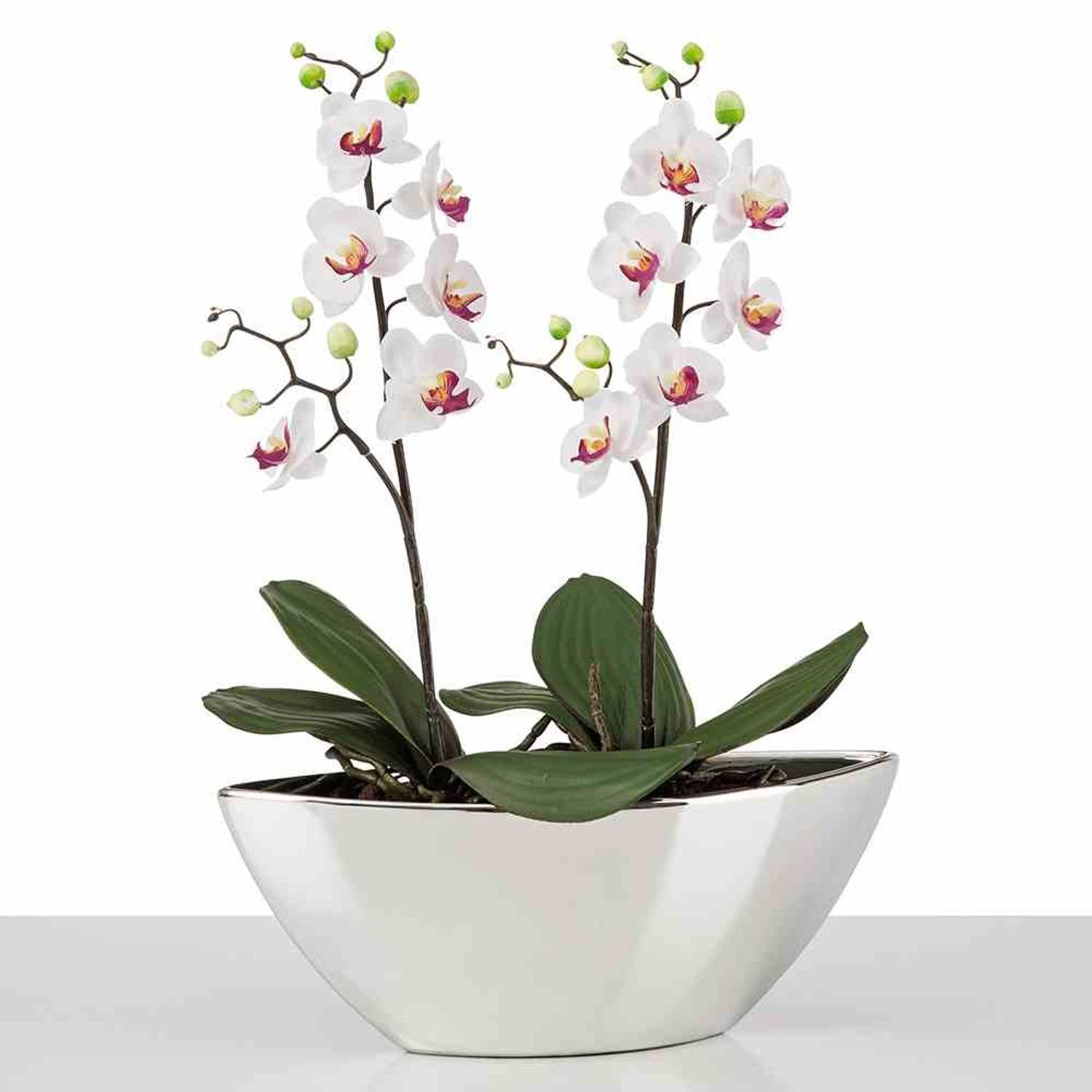 Scheurich Pflanzkübel Pflanzgefäß Orchidee Mirror Spiegeleffekt Chromoptik Silver glänzend