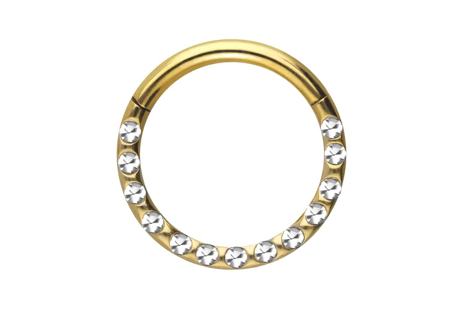 Nasenpiercing Titan Segmentring Clicker KRISTALLE + EPOXY Ohrpiercing Septum Nase