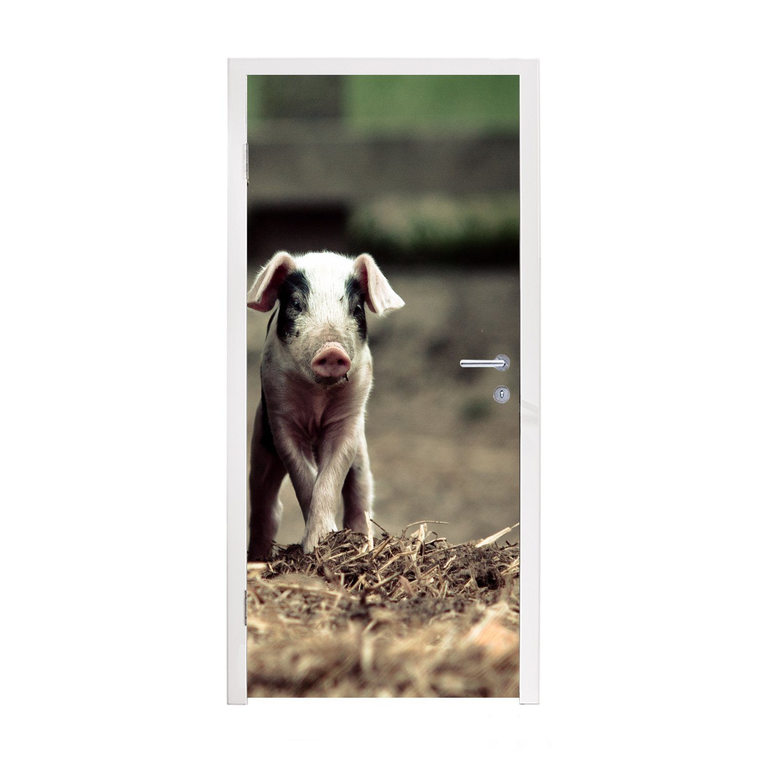 MuchoWow Türtapete Schwein - Stall - Baby, Matt, bedruckt, (1 St), Fototapete für Tür, Türaufkleber, 75x205 cm