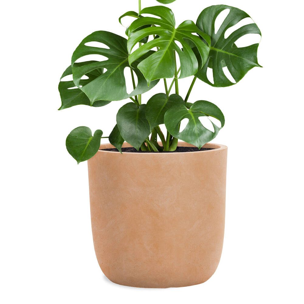 Pflanzwerk® Pflanzkübel CUP Premium Fiberglas Blumenkübel Frostbeständig mit Lotus-Effekt, Lotus-Effekt - Handgefertigt - Rund - Frostbeständig