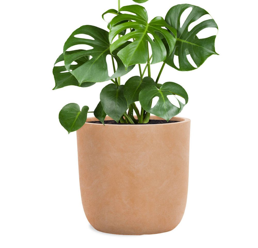 Pflanzwerk® Pflanzkübel CUP Premium Fiberglas Blumenkübel Frostbeständig mit Lotus-Effekt, Lotus-Effekt - Handgefertigt - Rund - Frostbeständig