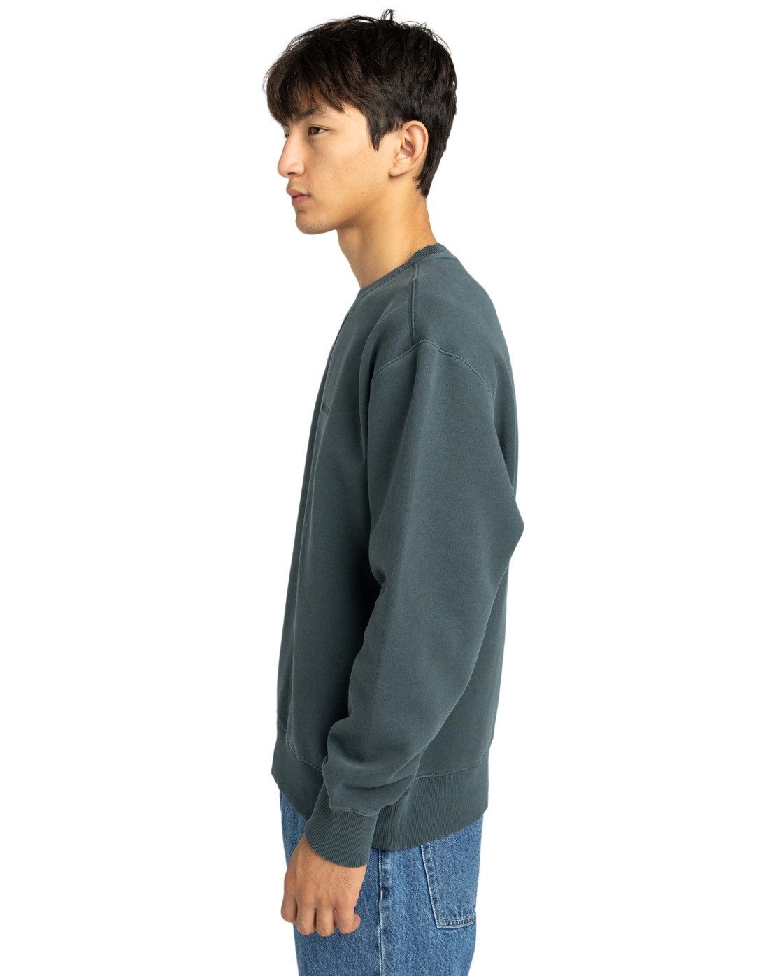 Element Sweatshirt Lowcase Pigment