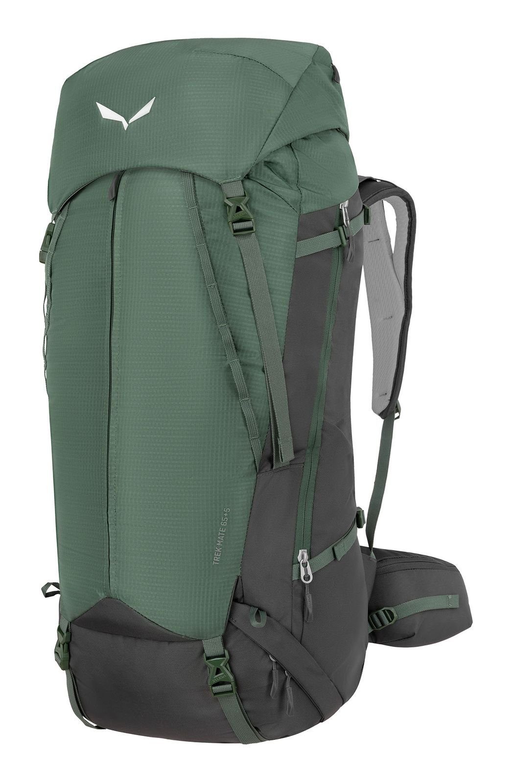 Salewa Rucksack Duck Green