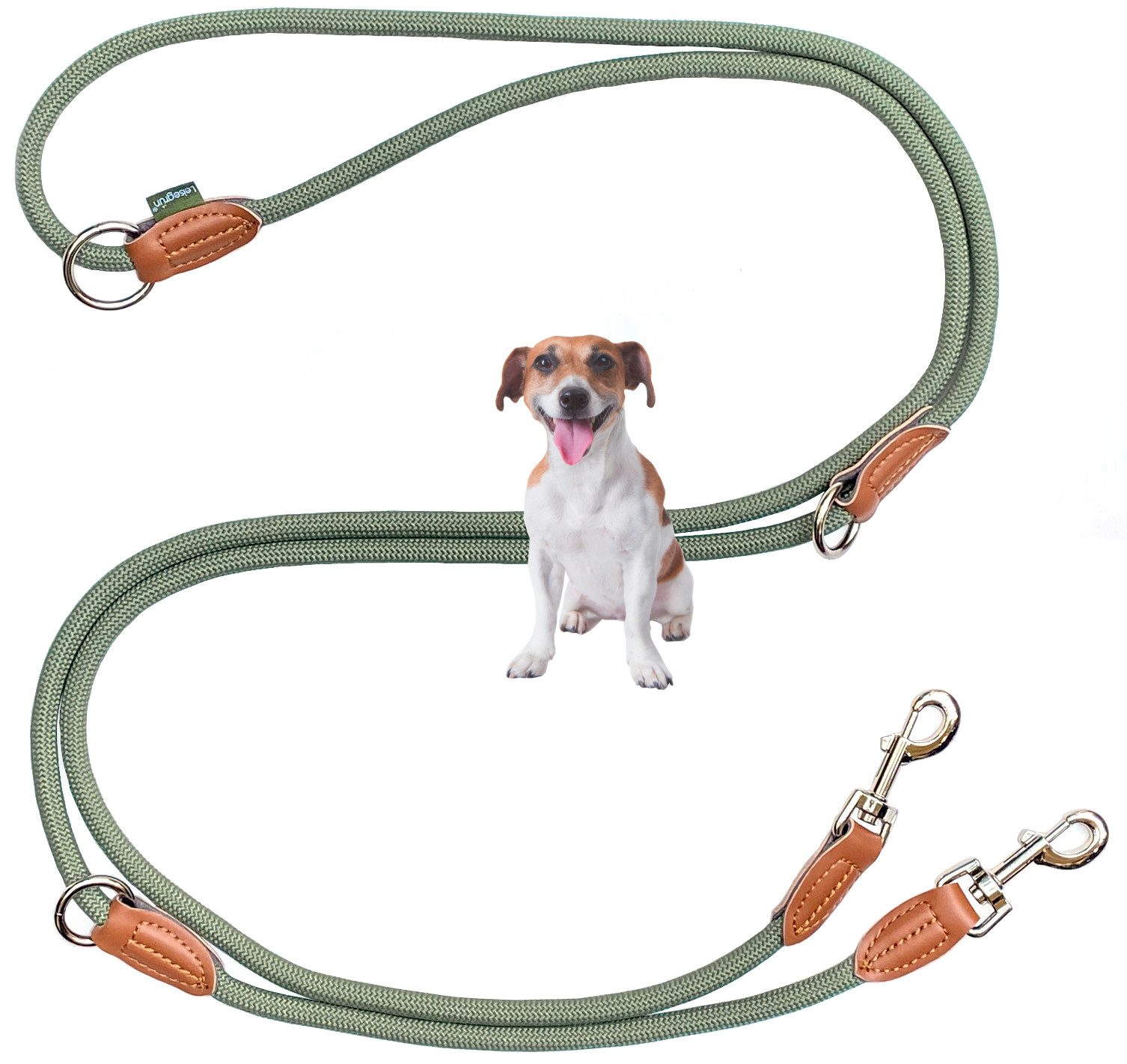 Leisegrün Hundeleine für kleine Hunde, 3m, 3-fach verstellbar, Nylon, Doppelleine für 2 Hunde, Führleine, Freihandleine, Trainingsleine