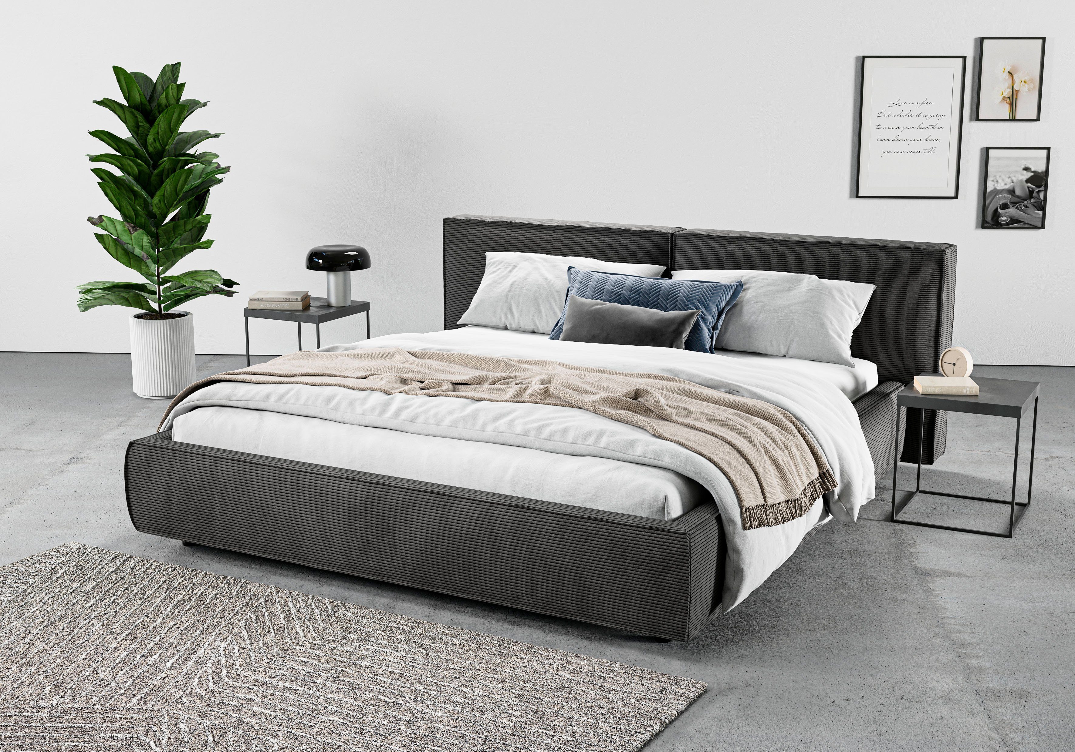 INOSIGN Polsterbett Adrina mit Biesenoptik, Feincord und Luxus-Microfaser, bis 280kg, auch in Überlänge 220 cm, 4 Breiten bis 200cm