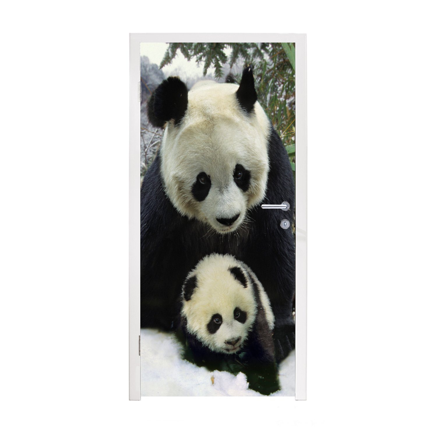 MuchoWow Türtapete Panda - Jungtier - Schnee, Matt, bedruckt, (1 St), Fototapete für Tür, Türaufkleber, 75x205 cm