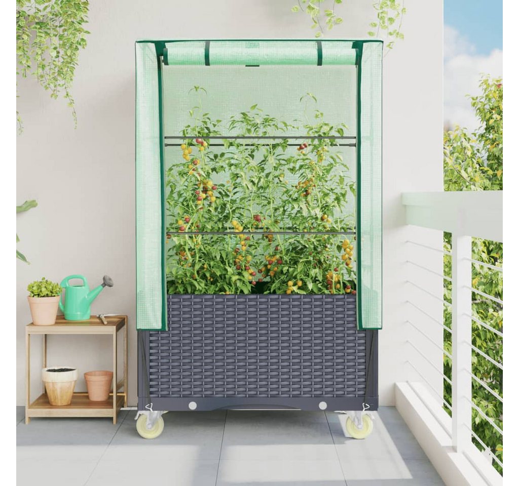 Thumbnail - vidaXL Hochbeet Hochbeet mit Aufsatz und Rollen Rattan-Optik 80x50x182 cm (1 St)