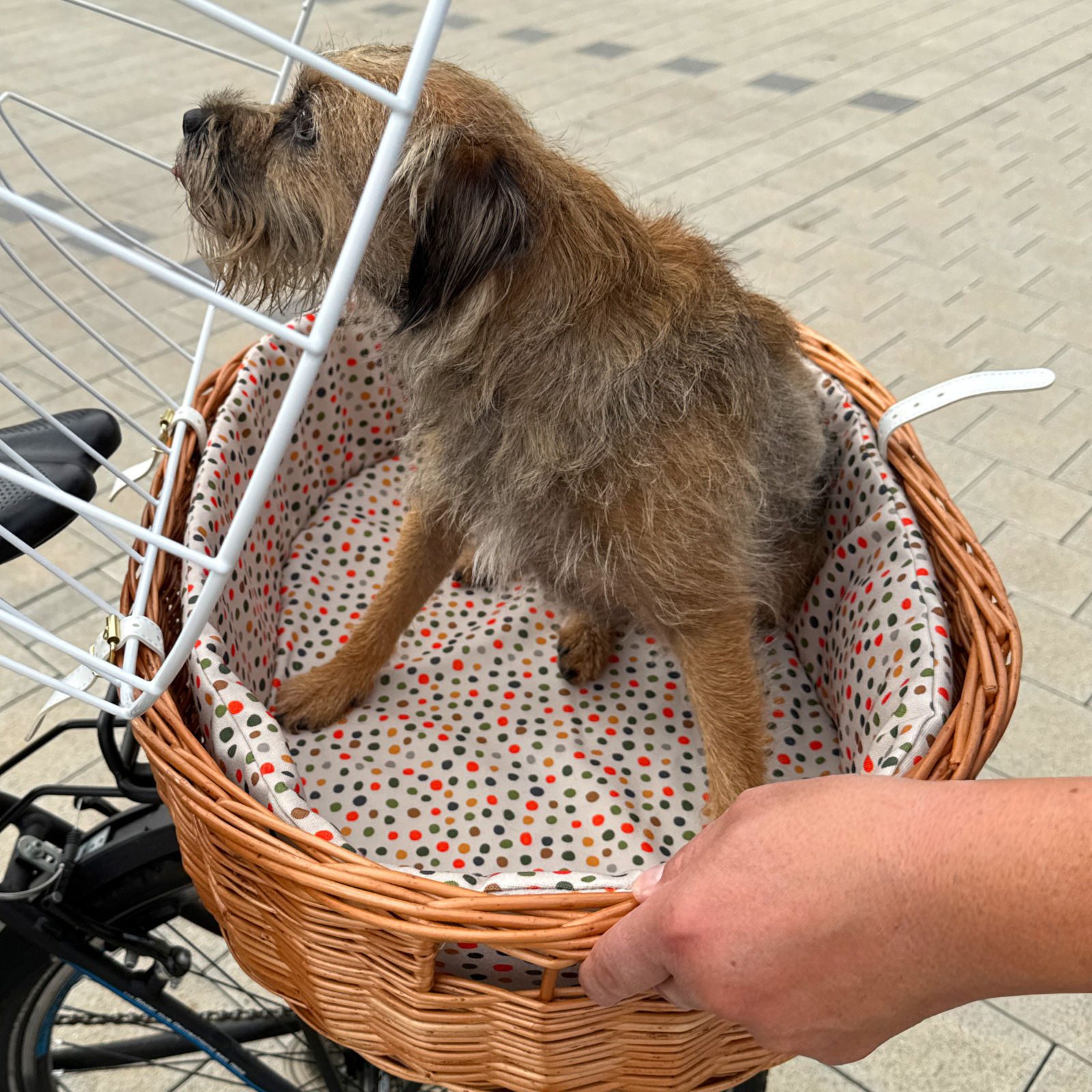 Aumüller Tierfahrradkorb Fahrrad-Tierkorb Gr. XL mit Polstereinlage, L: 68 cm, Gepäckträgerm...