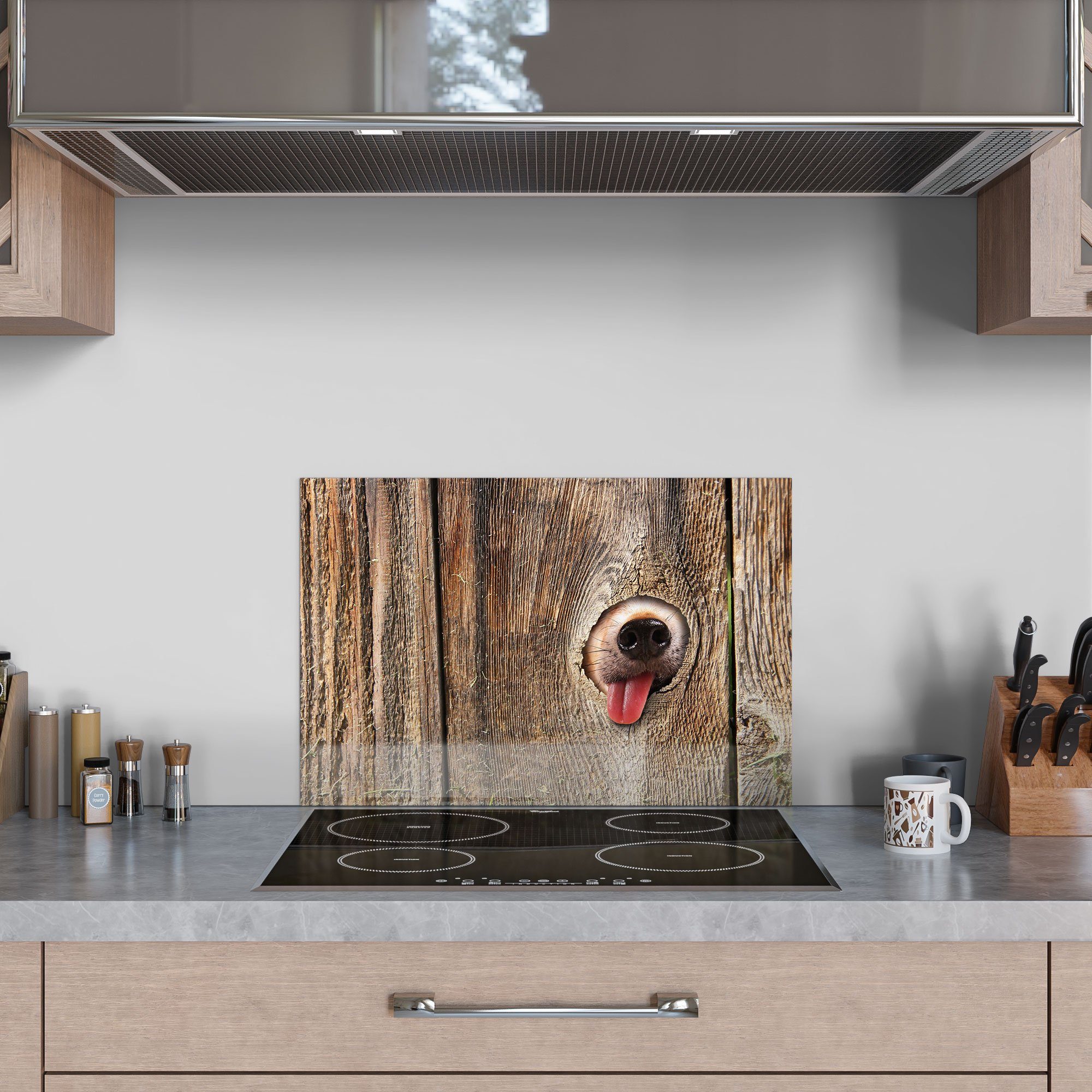 Badrückwand Spritzschutz Küchenrückwand Hundeschnauze', Herdblende Glas DEQORI 'Neugierige