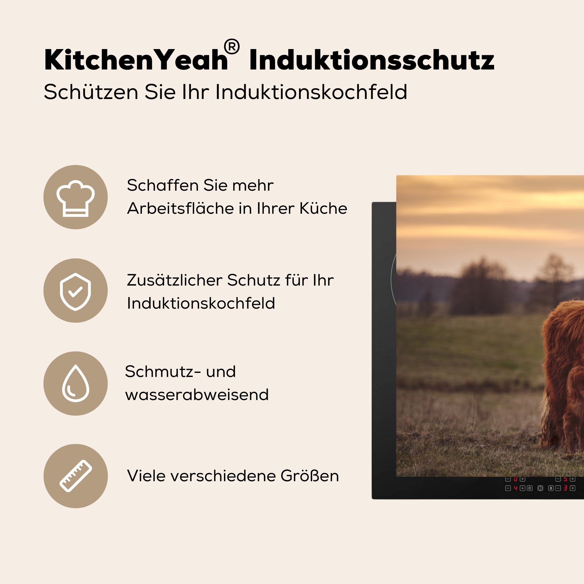 MuchoWow Herdblende-/Abdeckplatte Schottische Highlander Kuh, Sonnenuntergang küche, Landschaft cm, für 81x52 tlg), Schutz Vinyl, (1 - - - Ceranfeldabdeckung Induktionskochfeld - Tiere die