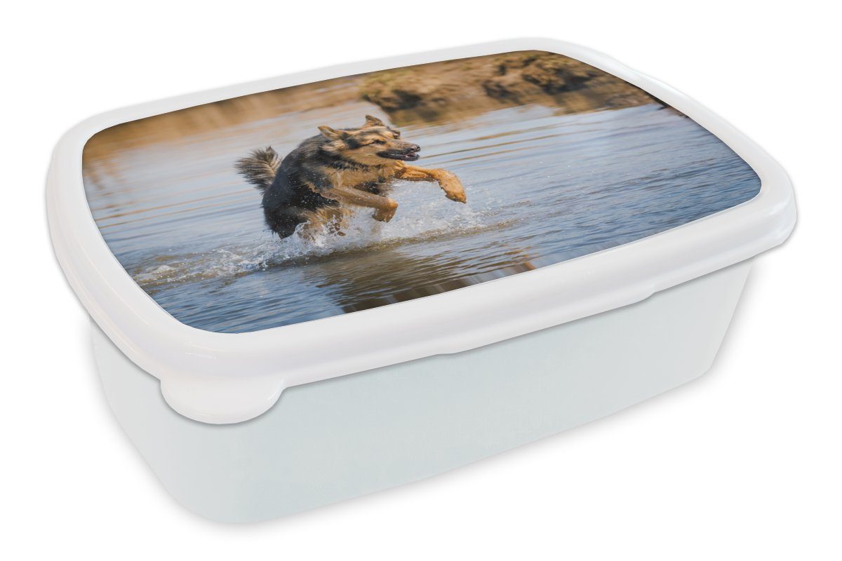 MuchoWow Lunchbox Ein Deutscher Schäferhund spielt im Wasser, Kunststoff, (2-tlg), Brotbox für Kinder und Erwachsene, Brotdose, für Jungs und Mädchen weiß | Lunchboxen