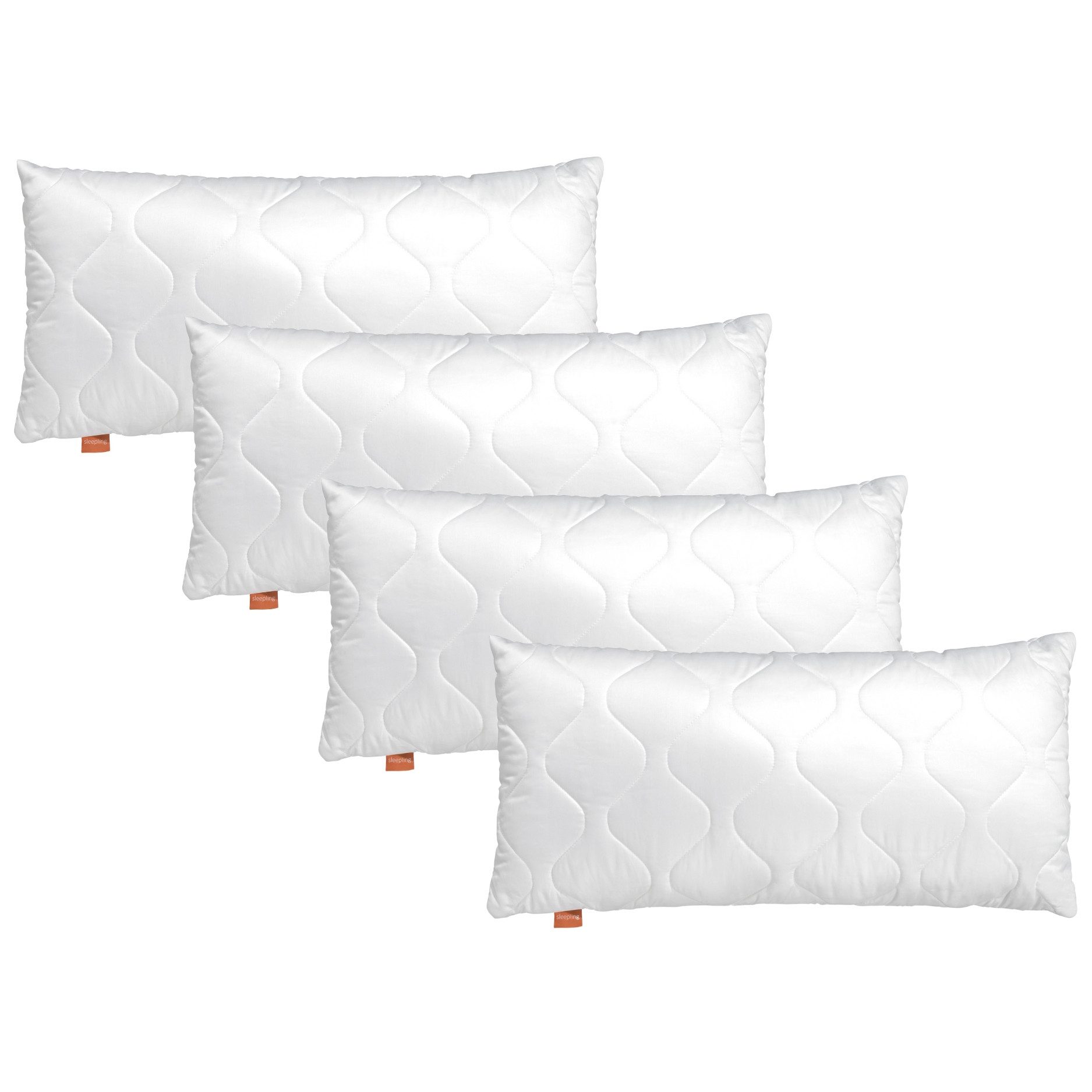 sleepling Kopfkissen Basic 100, in 40x80 cm, 80x80 cm und vielen weiteren G günstig online kaufen