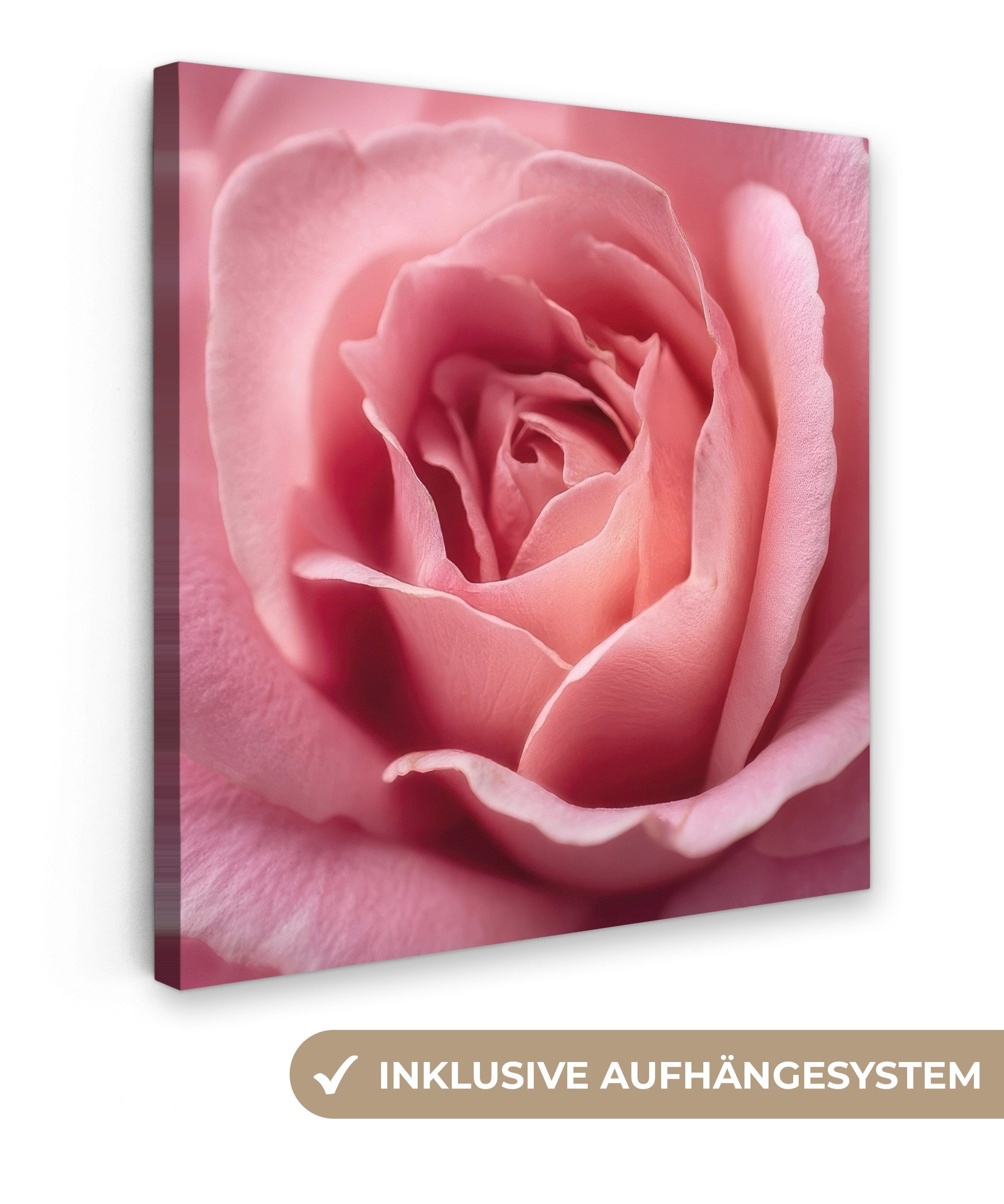 Leinwandbild Rosa - Rose - Romantisch